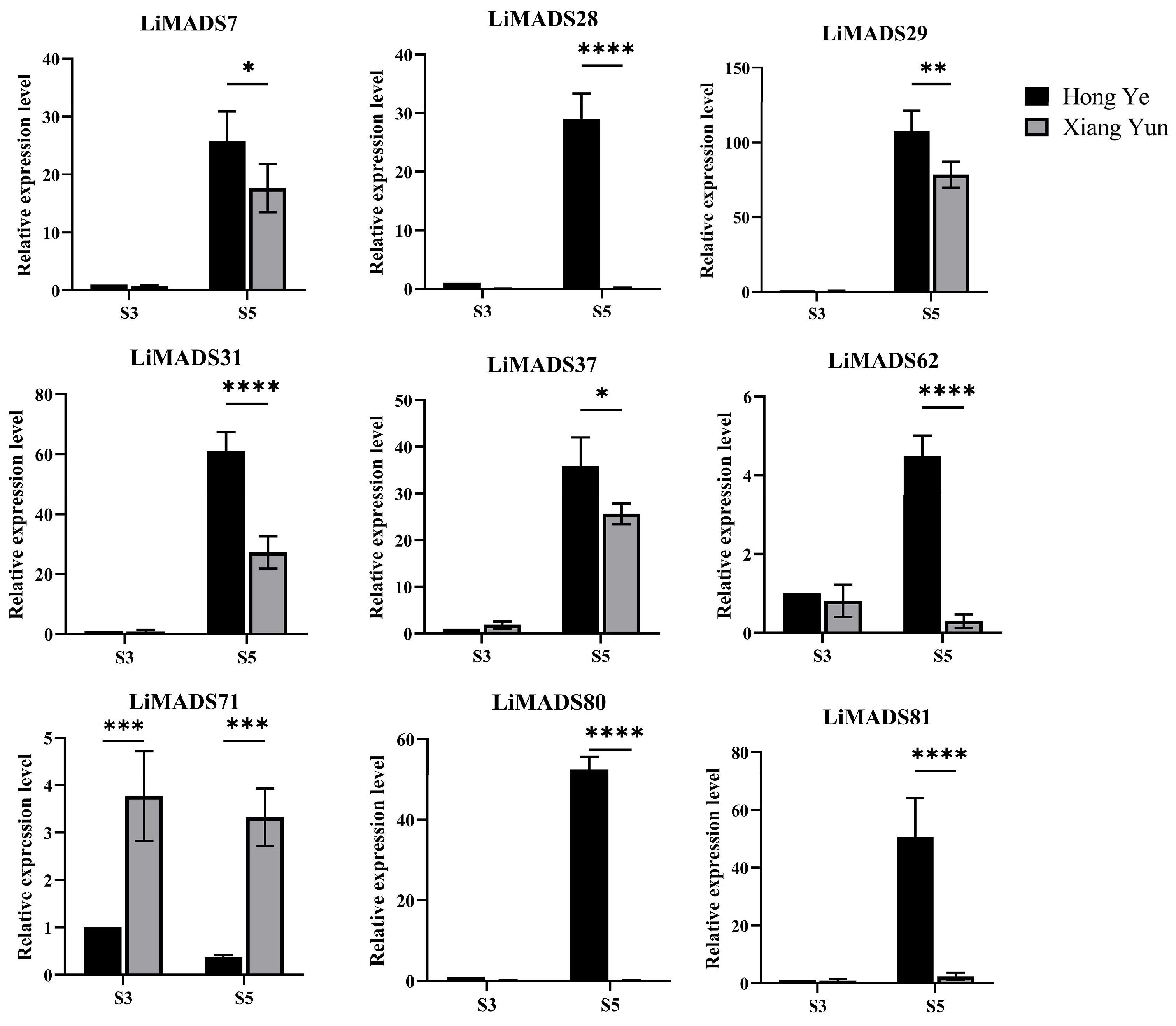 Plants 13 00709 g008