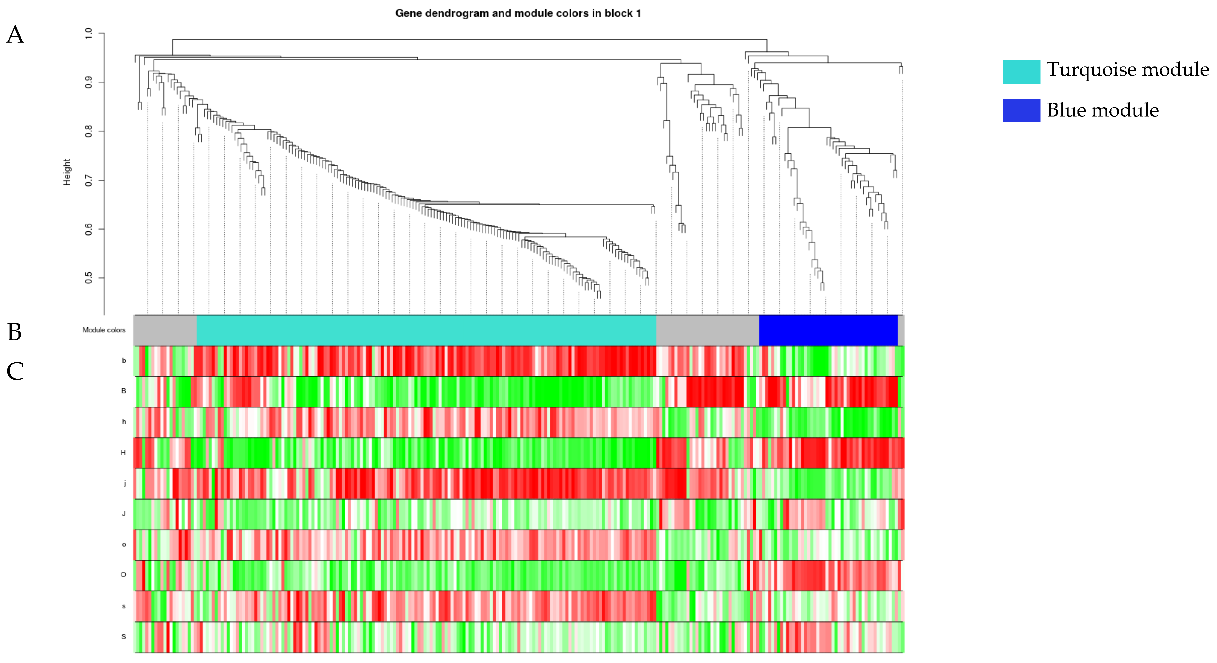Plants 13 00710 g004 Plants 13 00710 g004