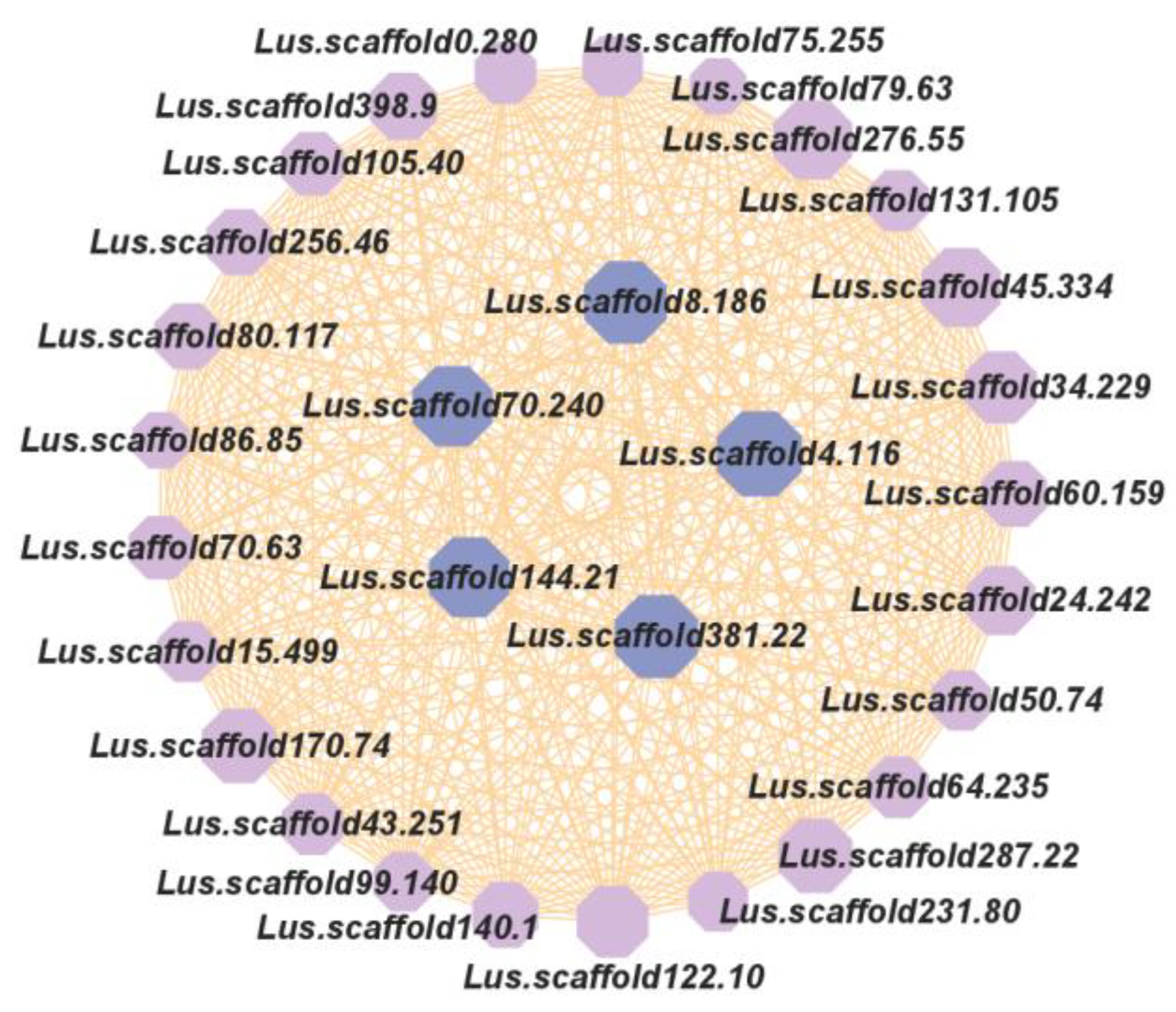 Plants 13 00710 g007 Plants 13 00710 g007