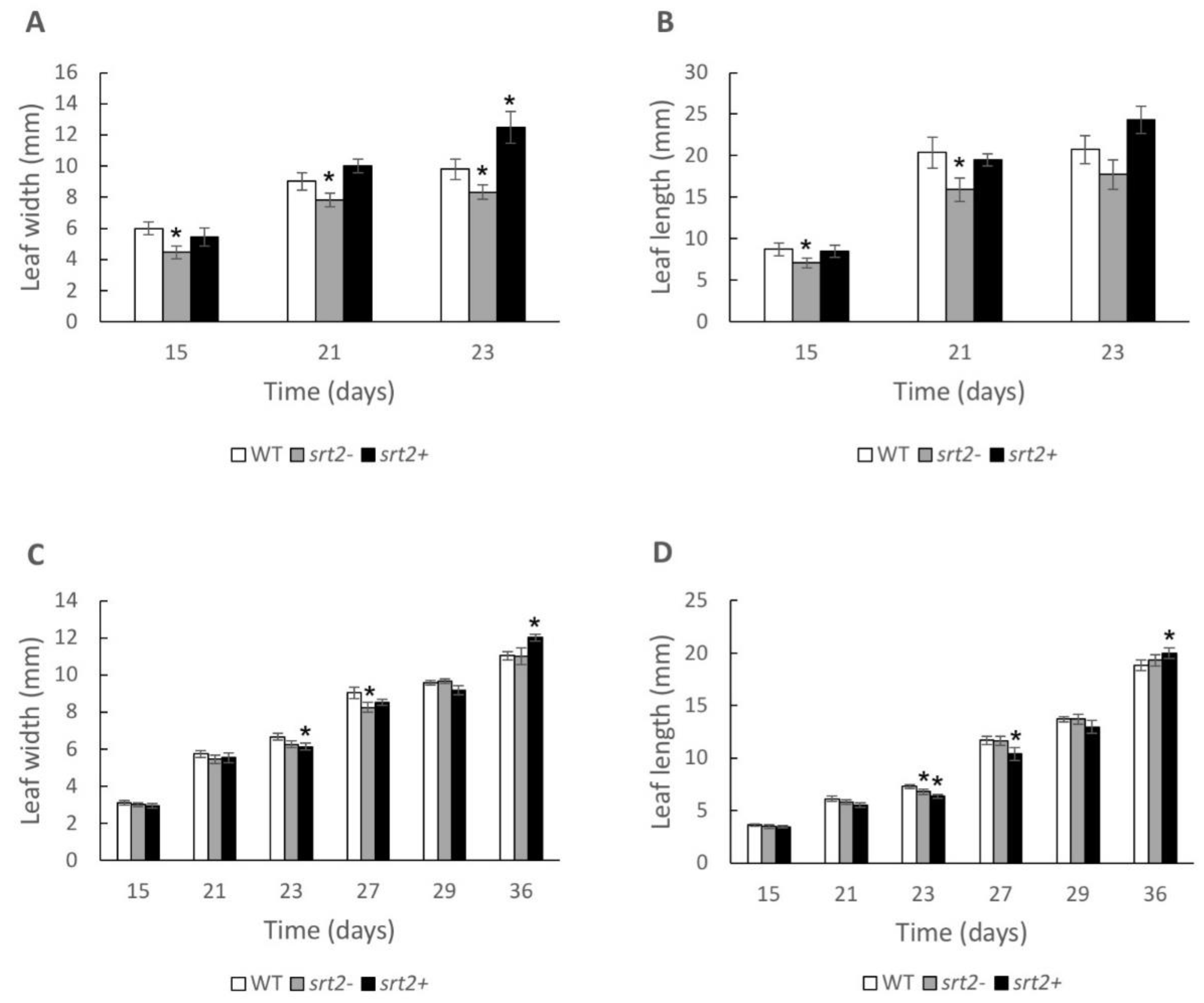 Plants 13 00711 g002