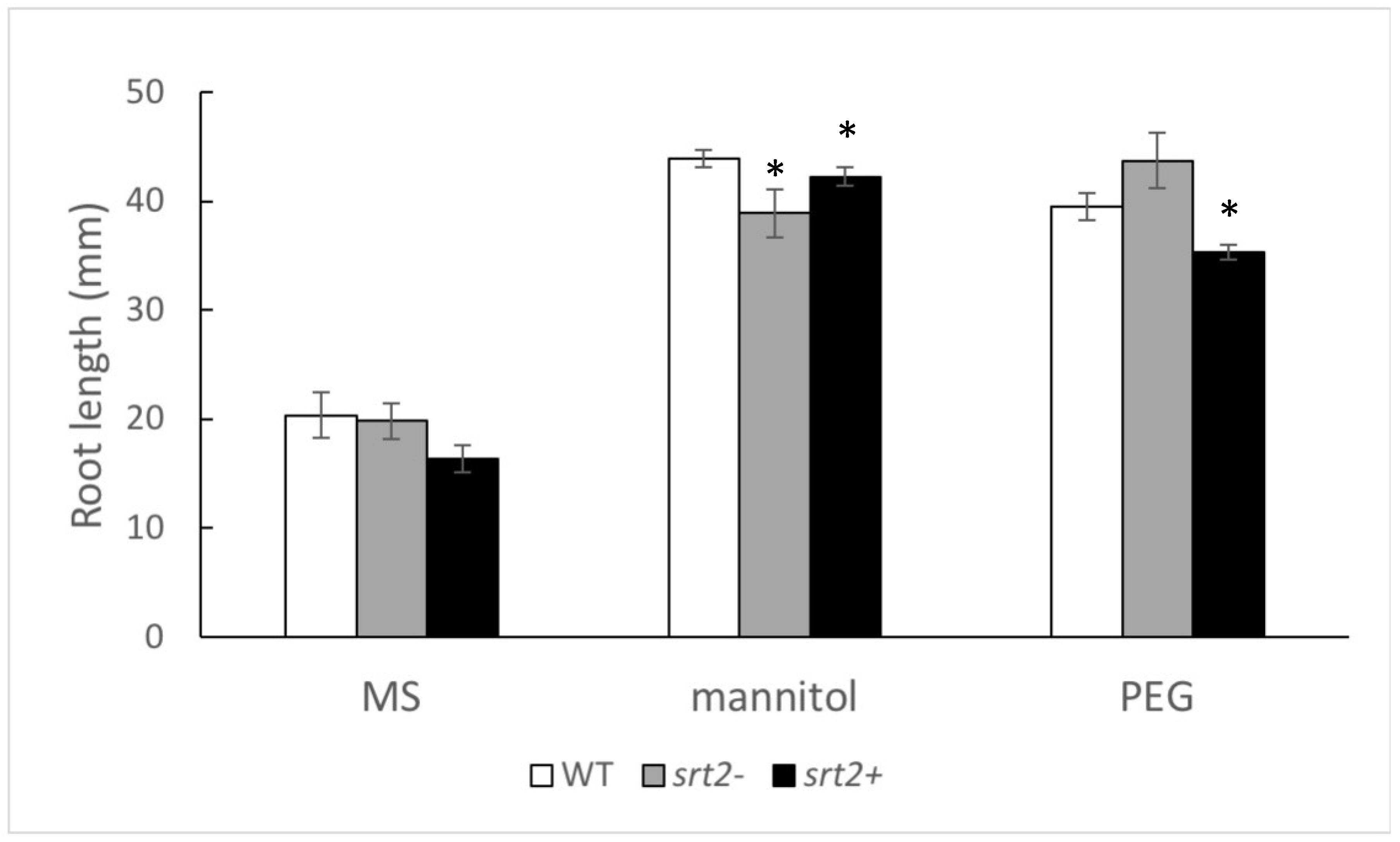 Plants 13 00711 g003