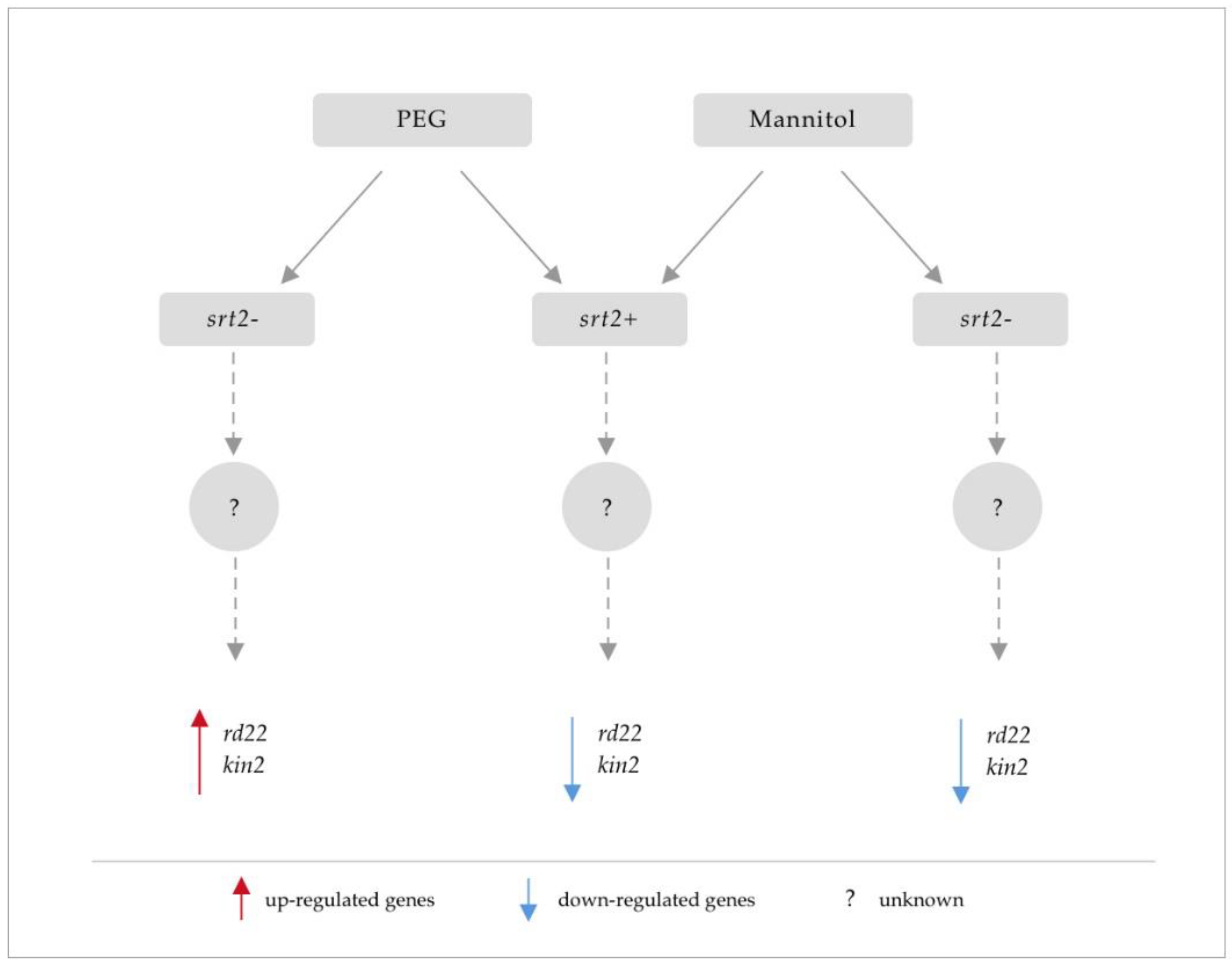 Plants 13 00711 g007
