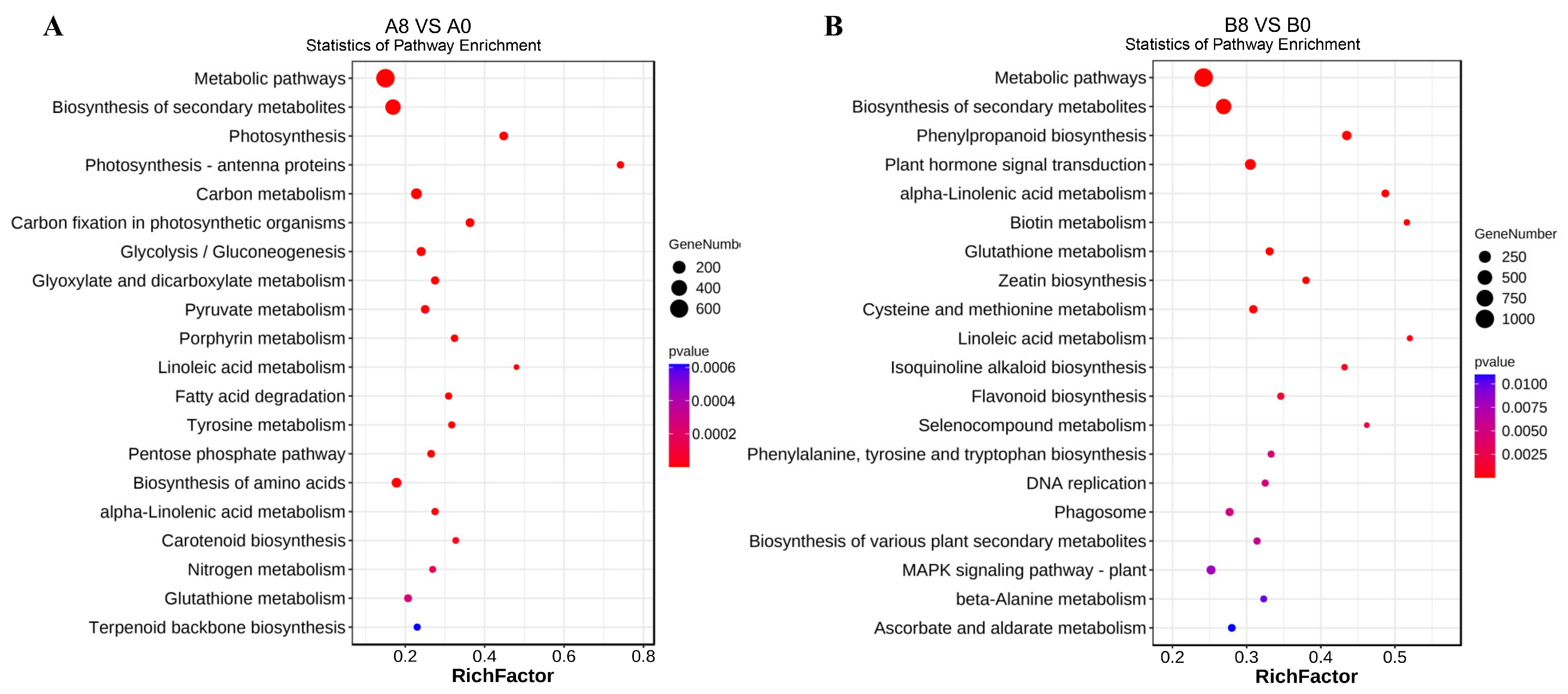 Plants 13 00712 g004