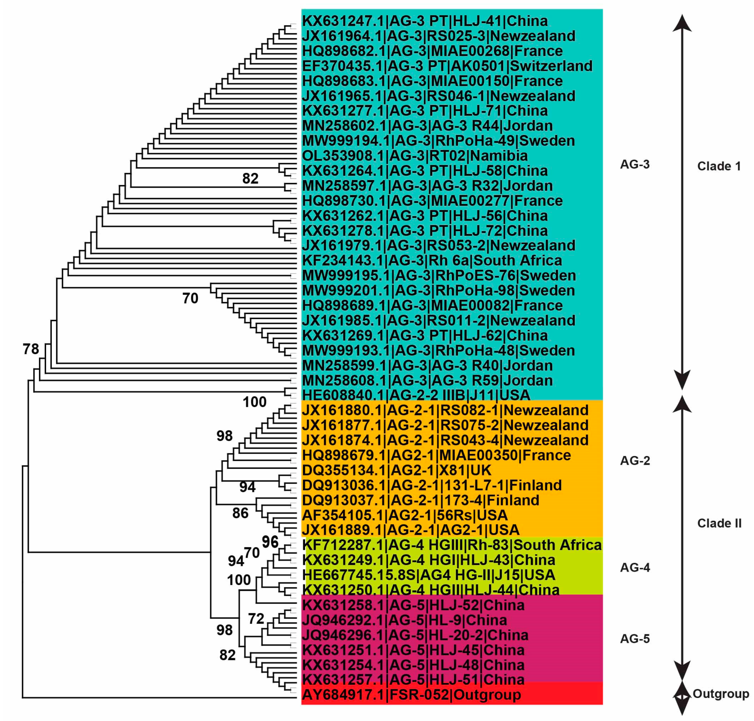 Plants 13 00715 g004