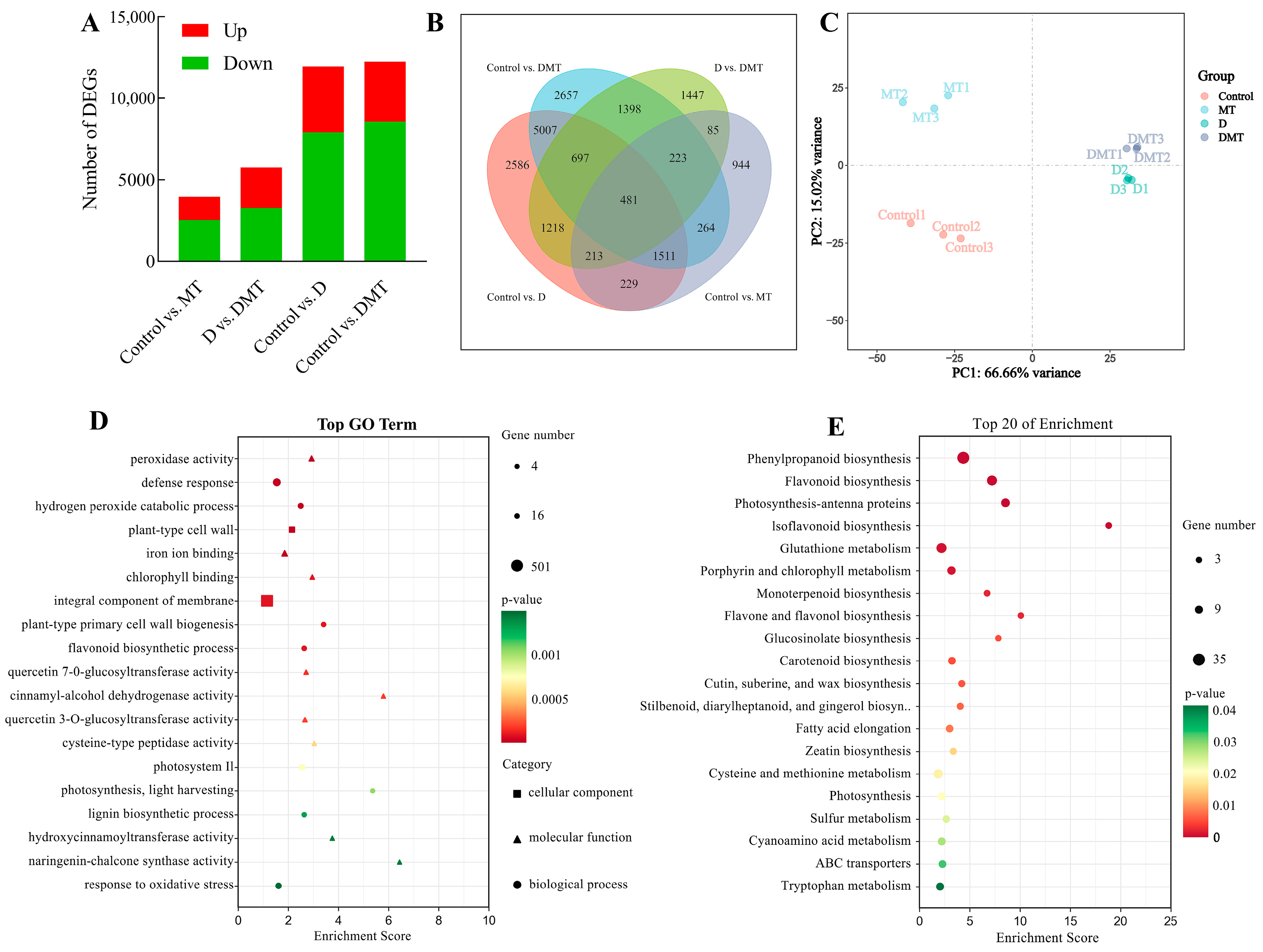 Plants 13 00716 g003
