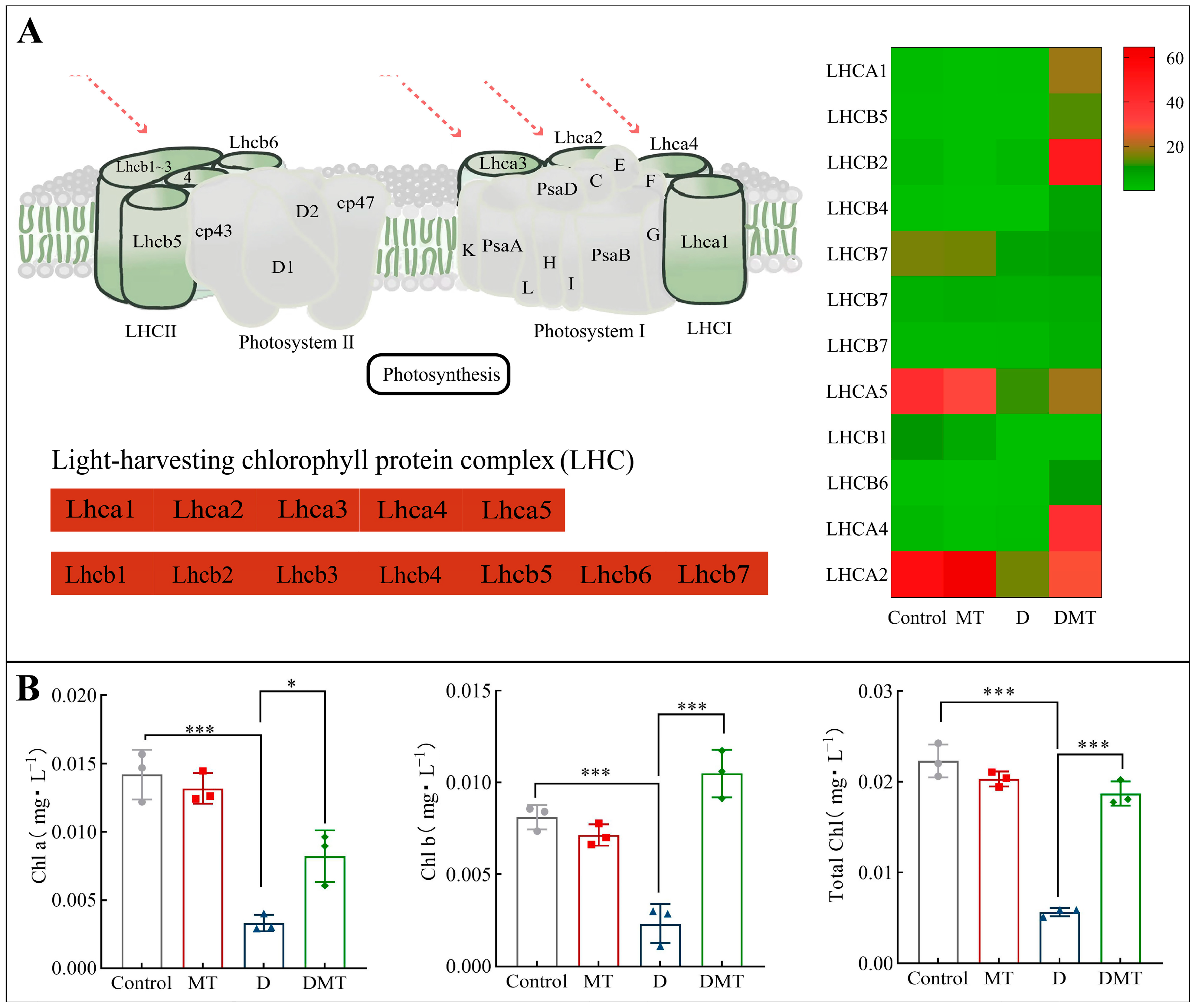 Plants 13 00716 g005