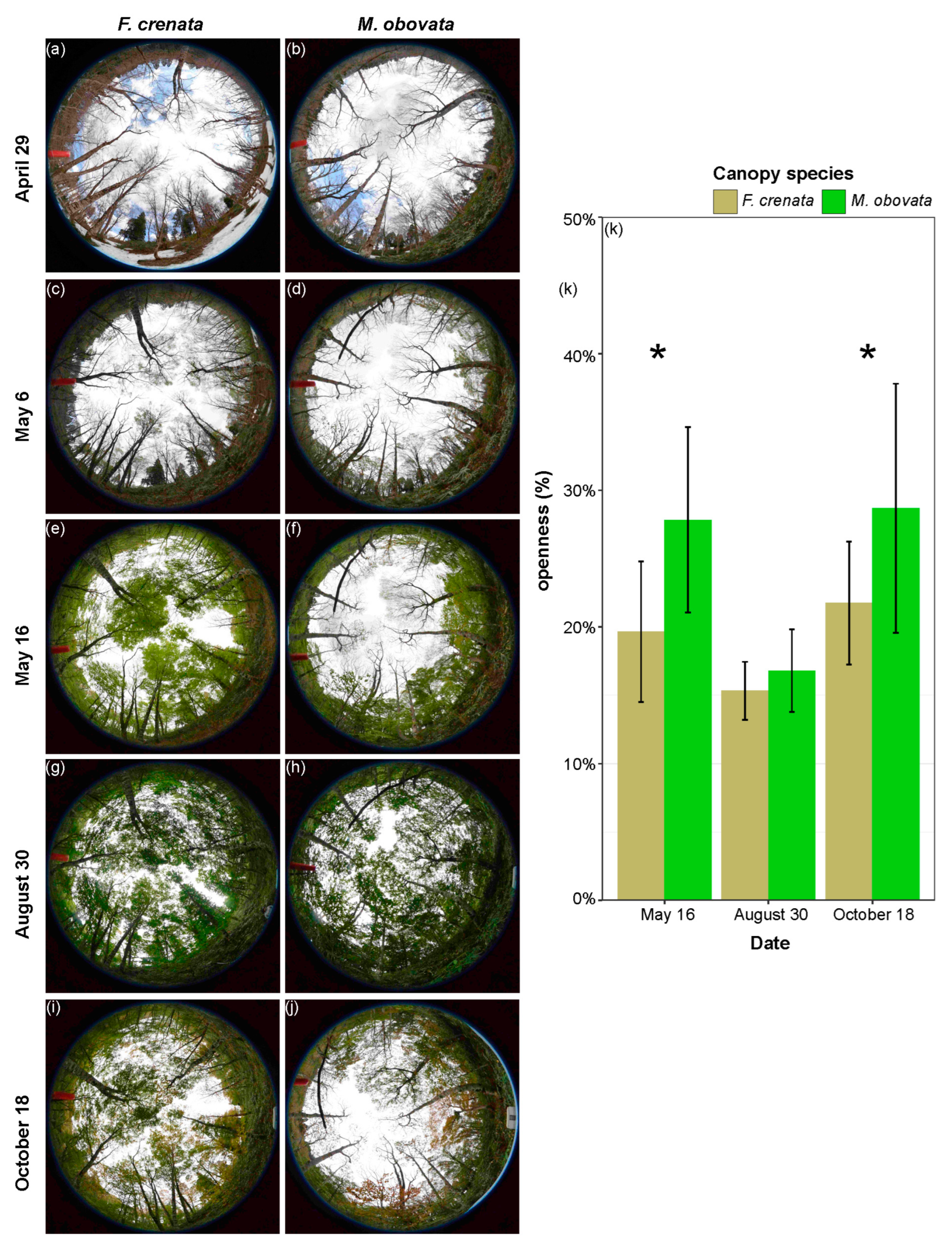 Plants 13 00719 g001