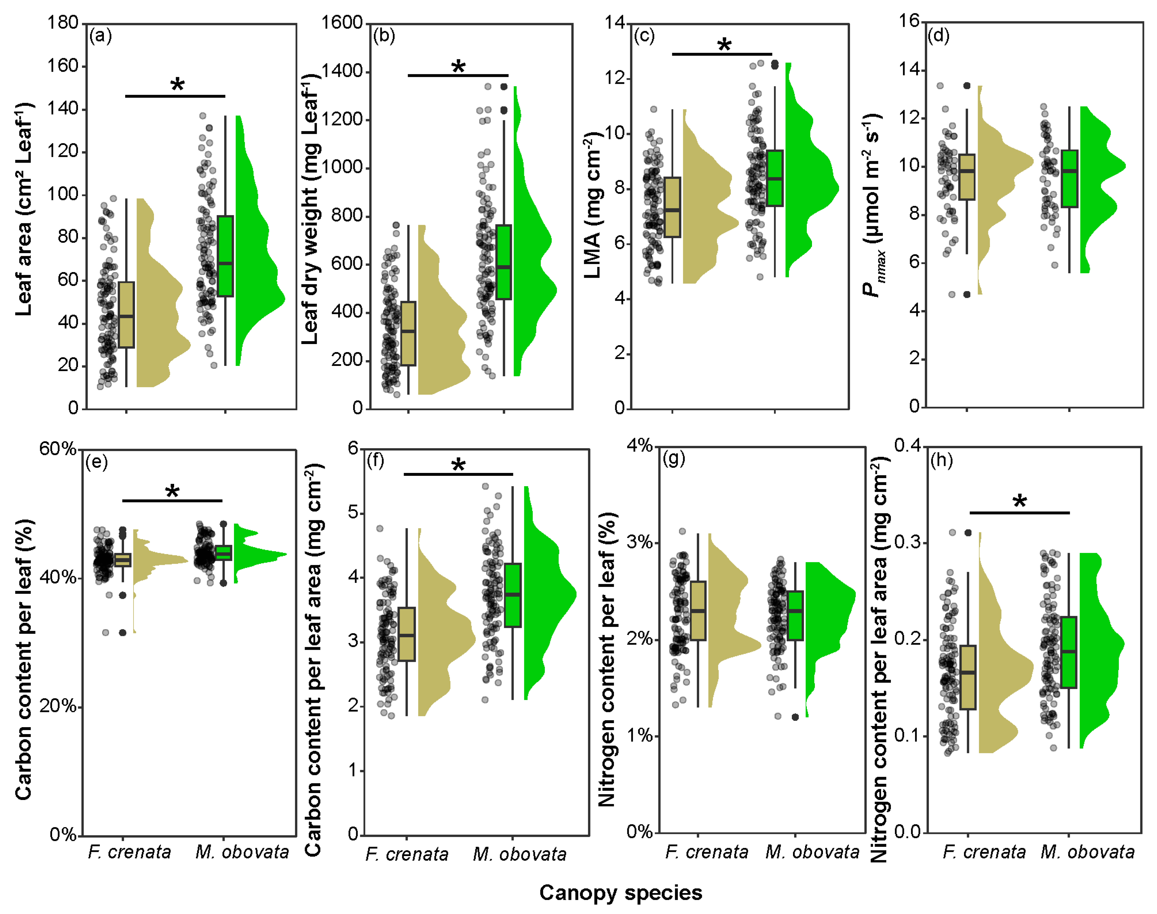 Plants 13 00719 g002