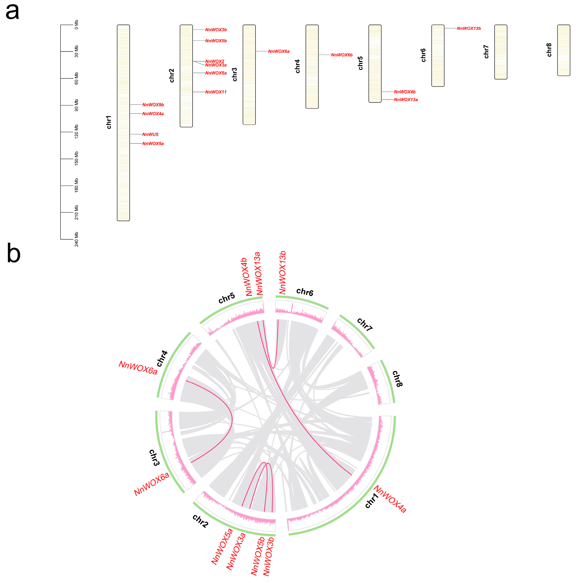 Plants 13 00720 g003
