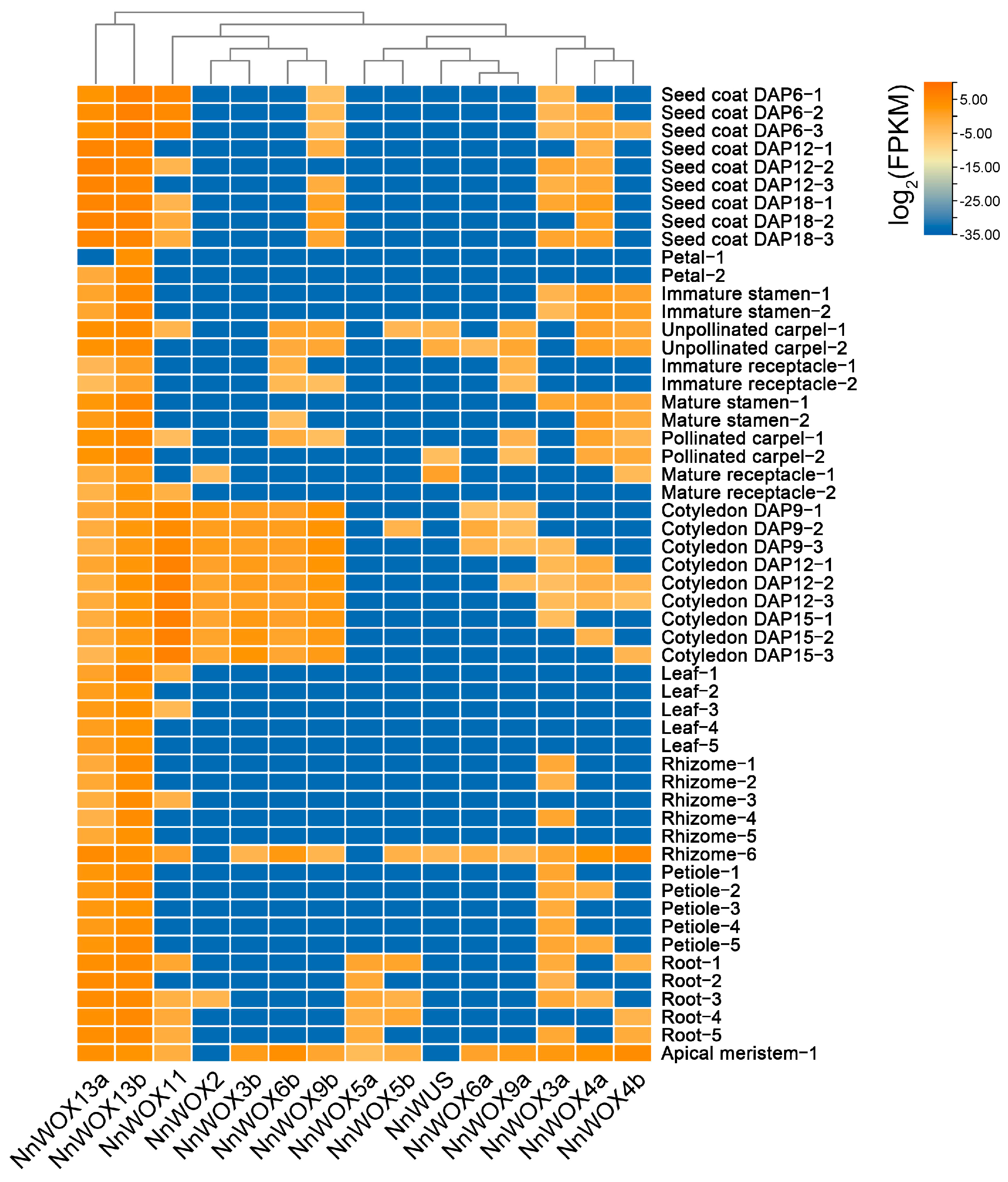 Plants 13 00720 g004