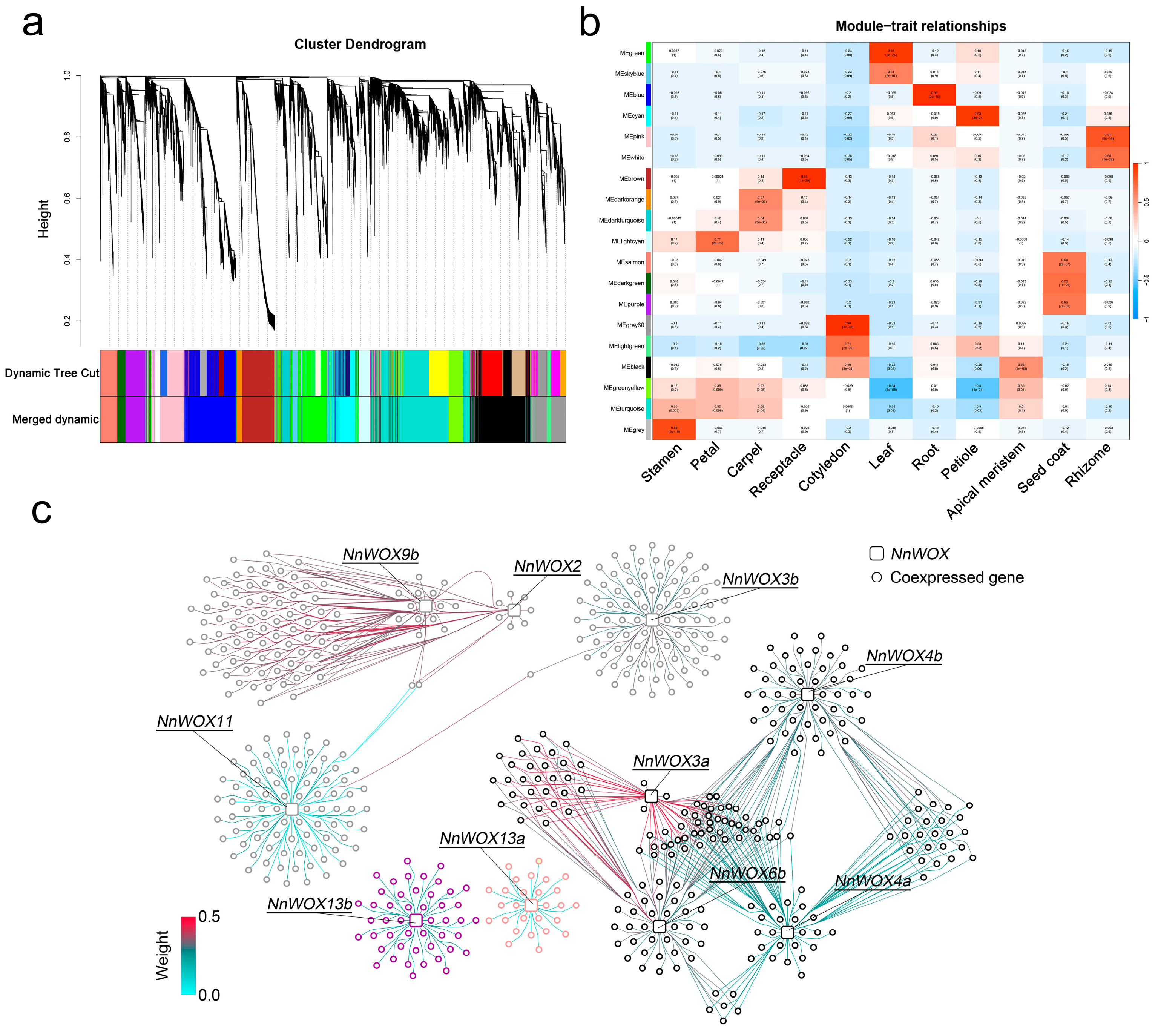 Plants 13 00720 g005