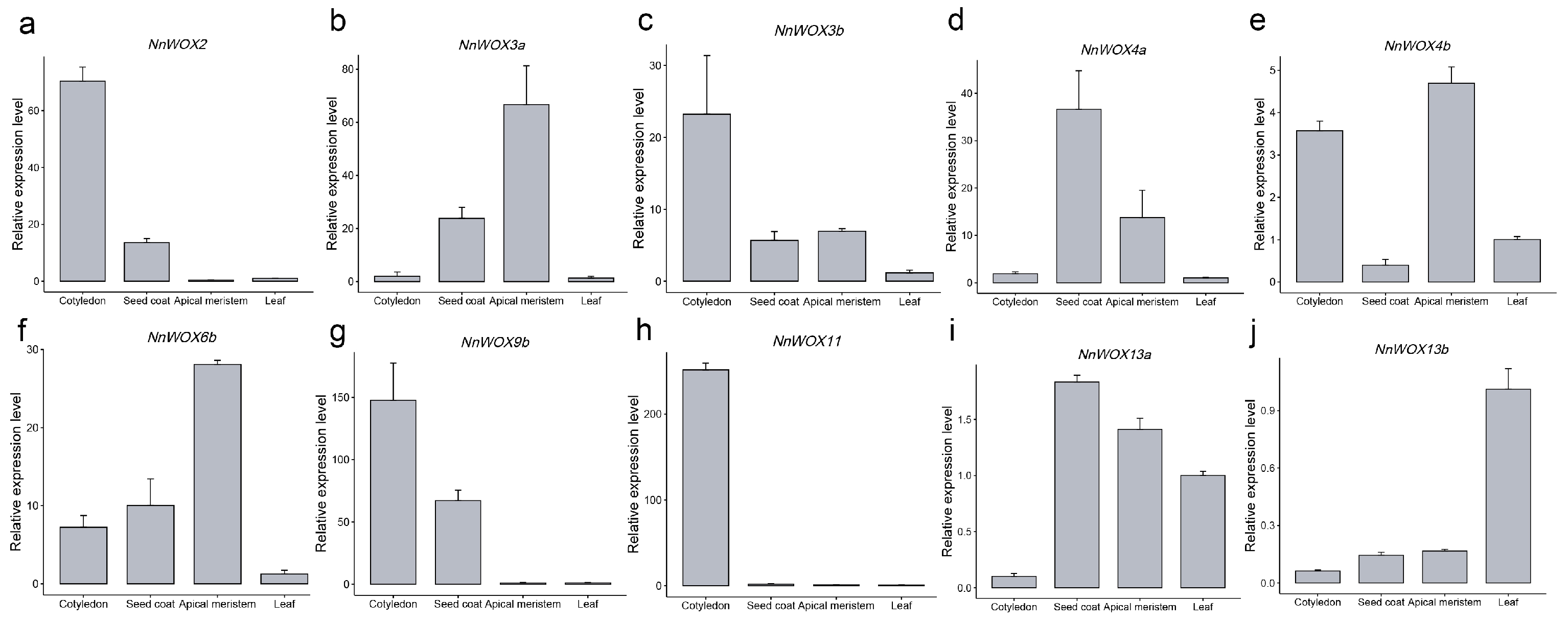Plants 13 00720 g006