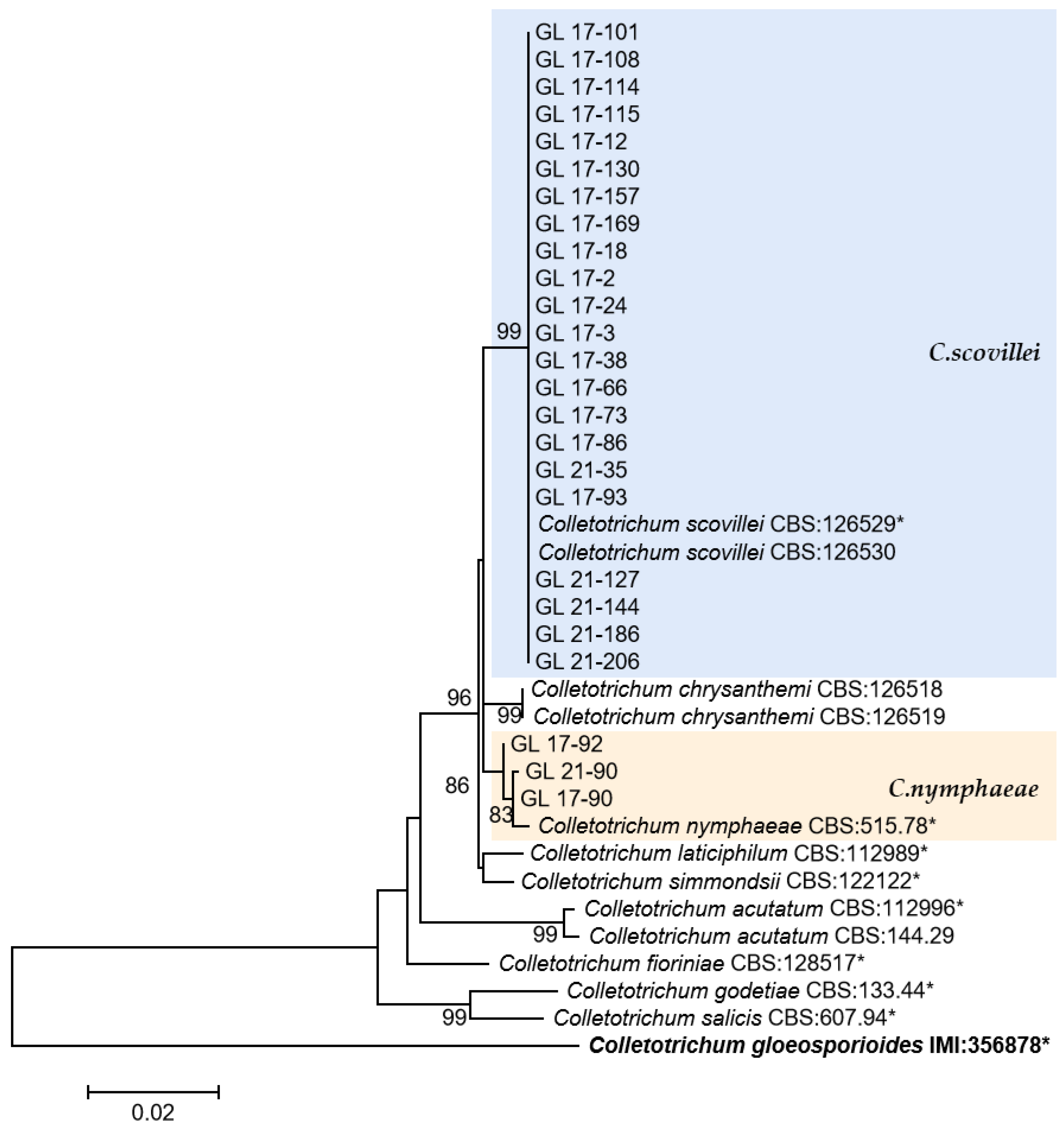 Plants 13 00728 g013
