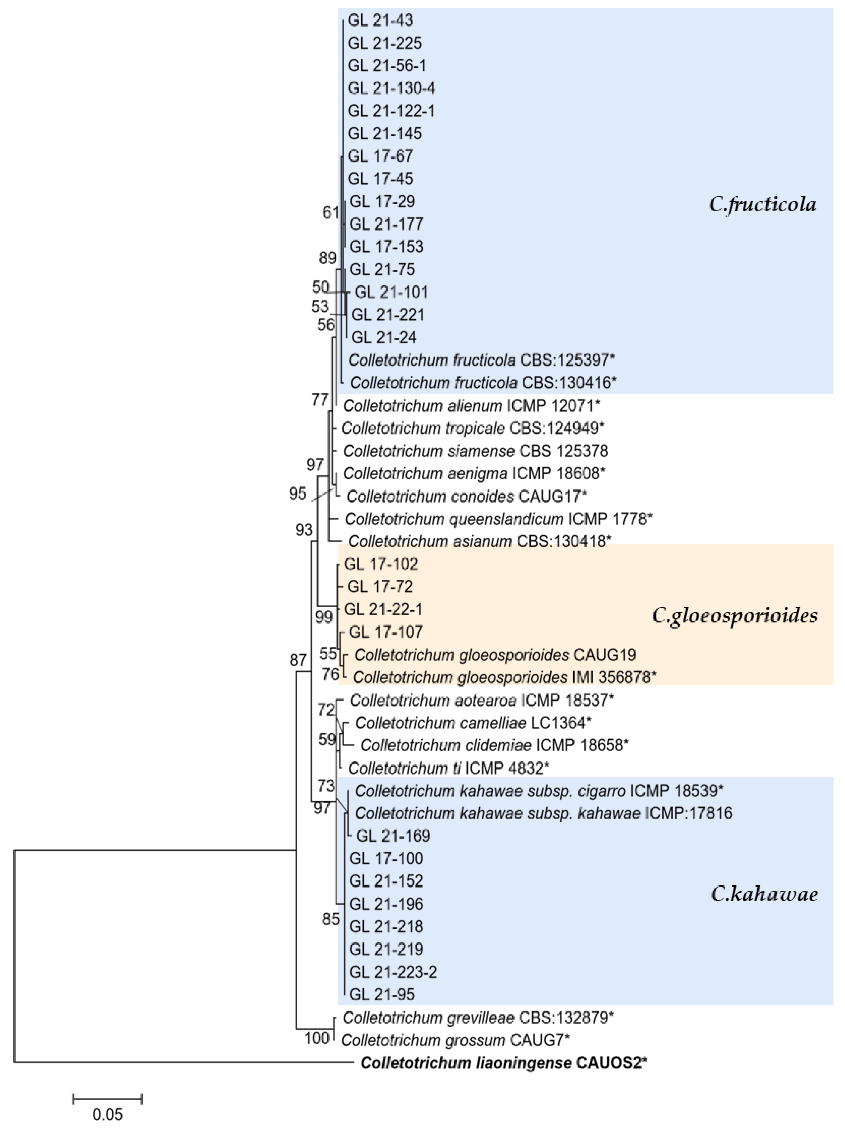 Plants 13 00728 g014