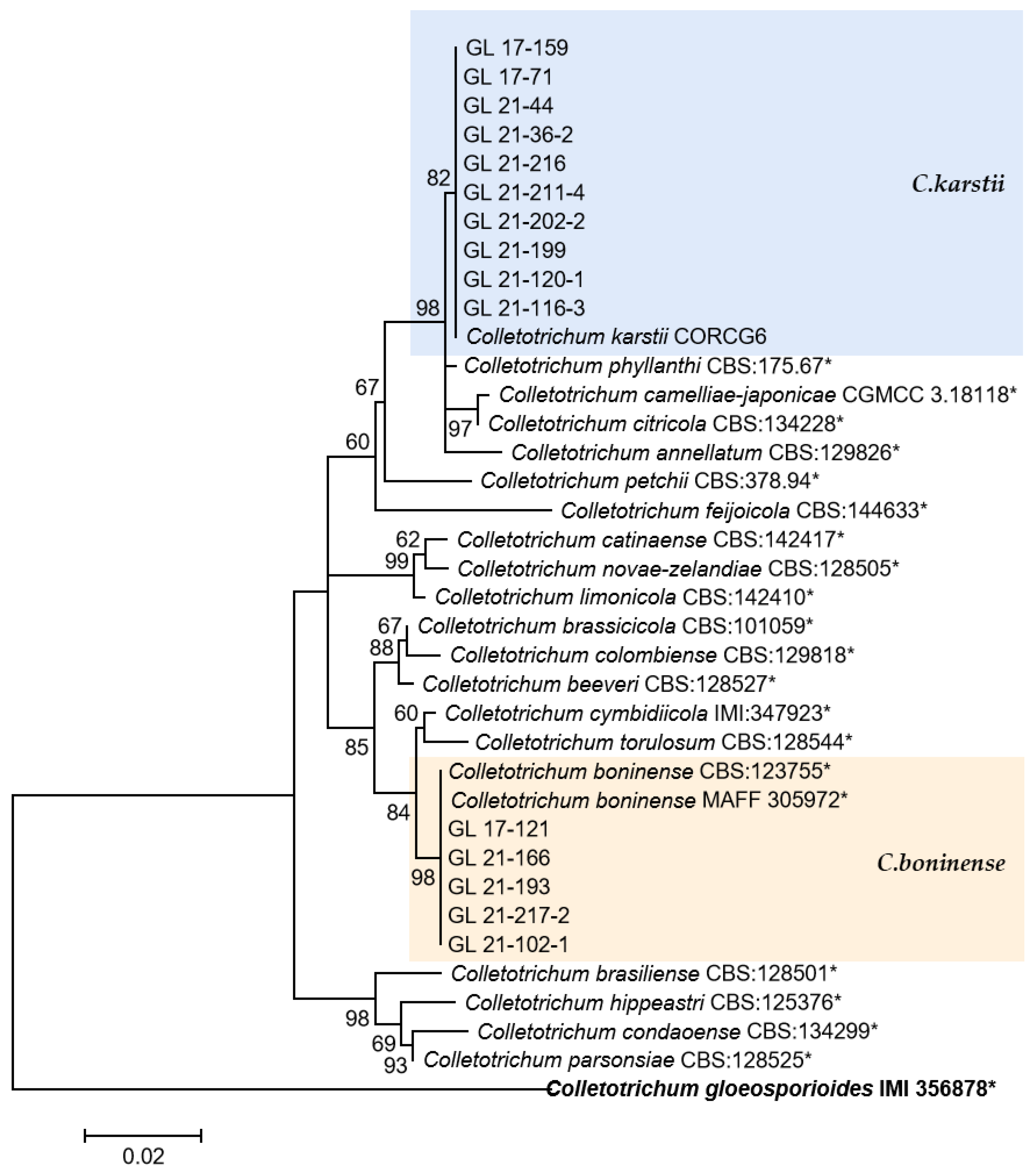 Plants 13 00728 g015