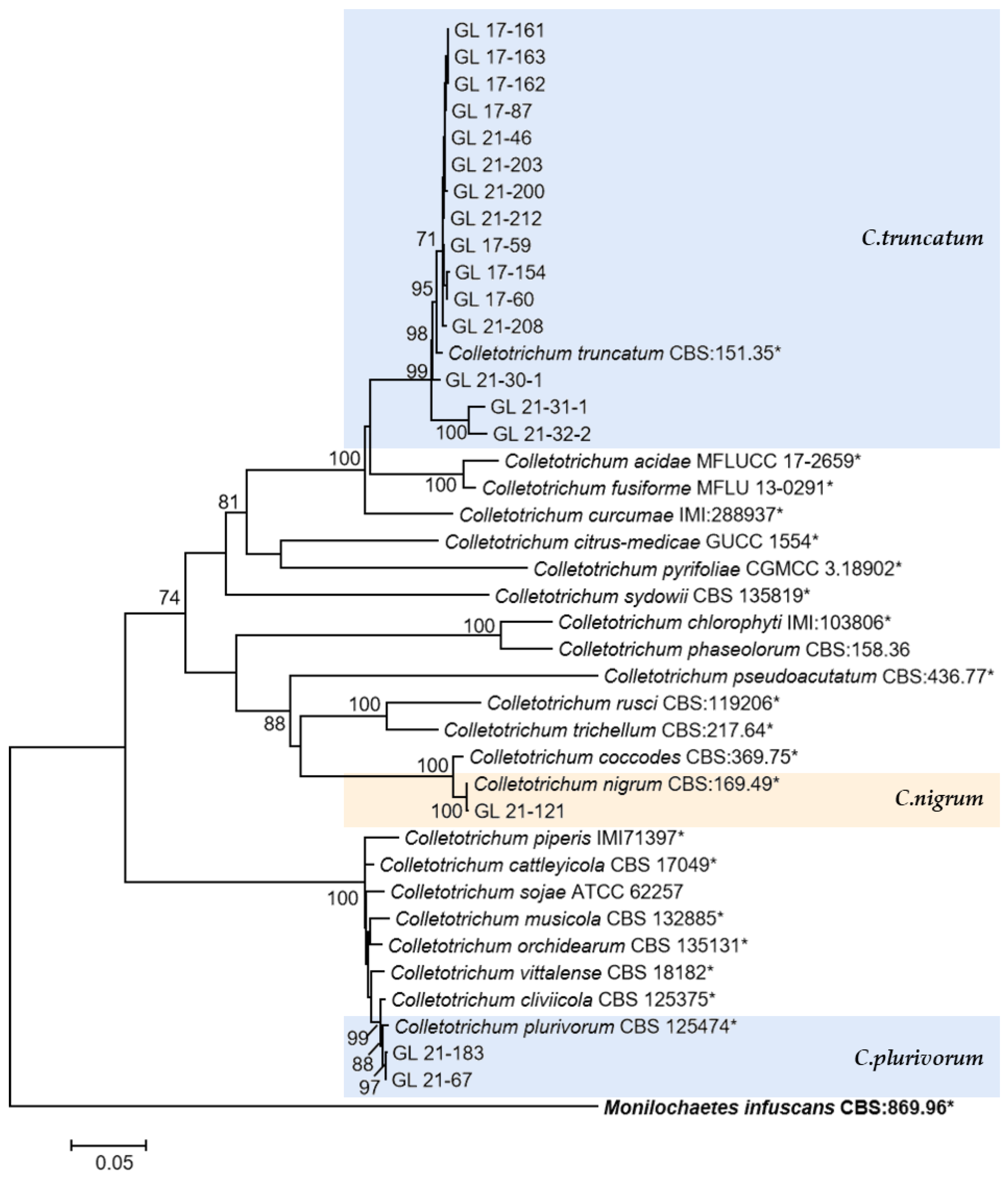 Plants 13 00728 g016