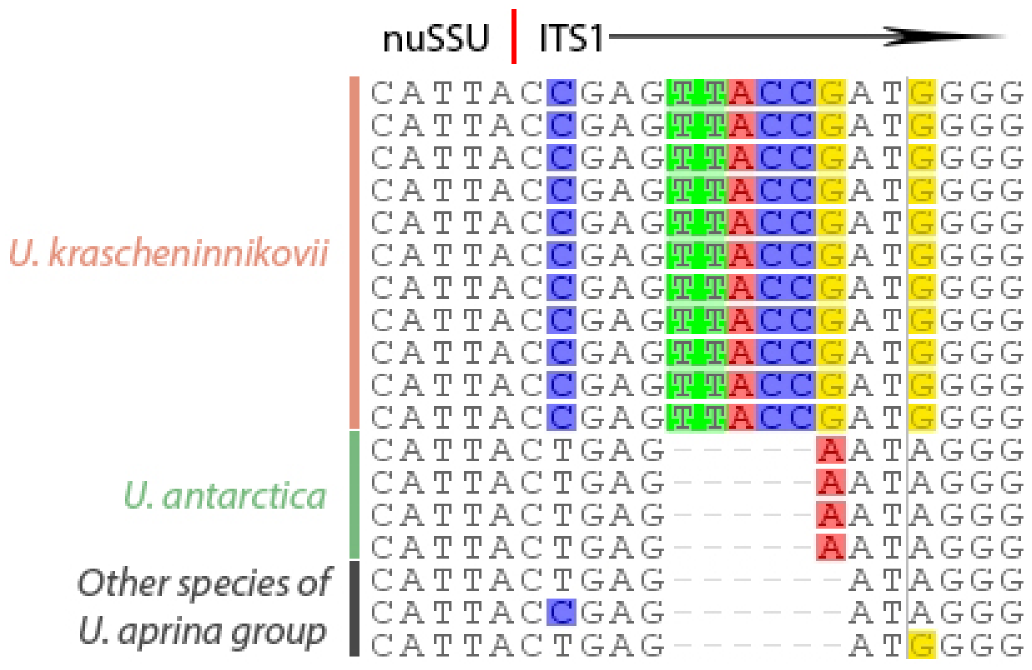 Plants 13 00729 g002