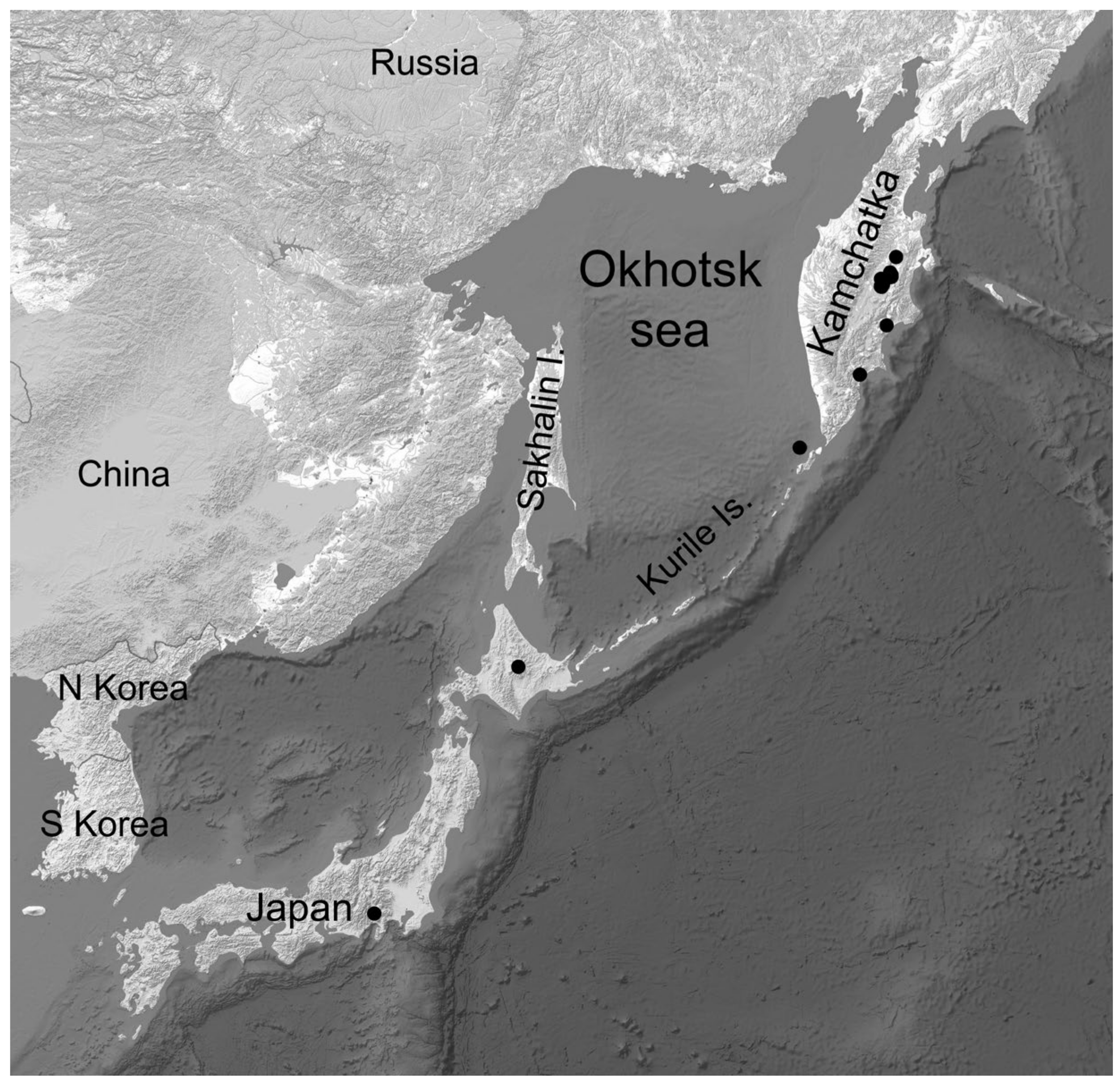 Plants 13 00729 g009