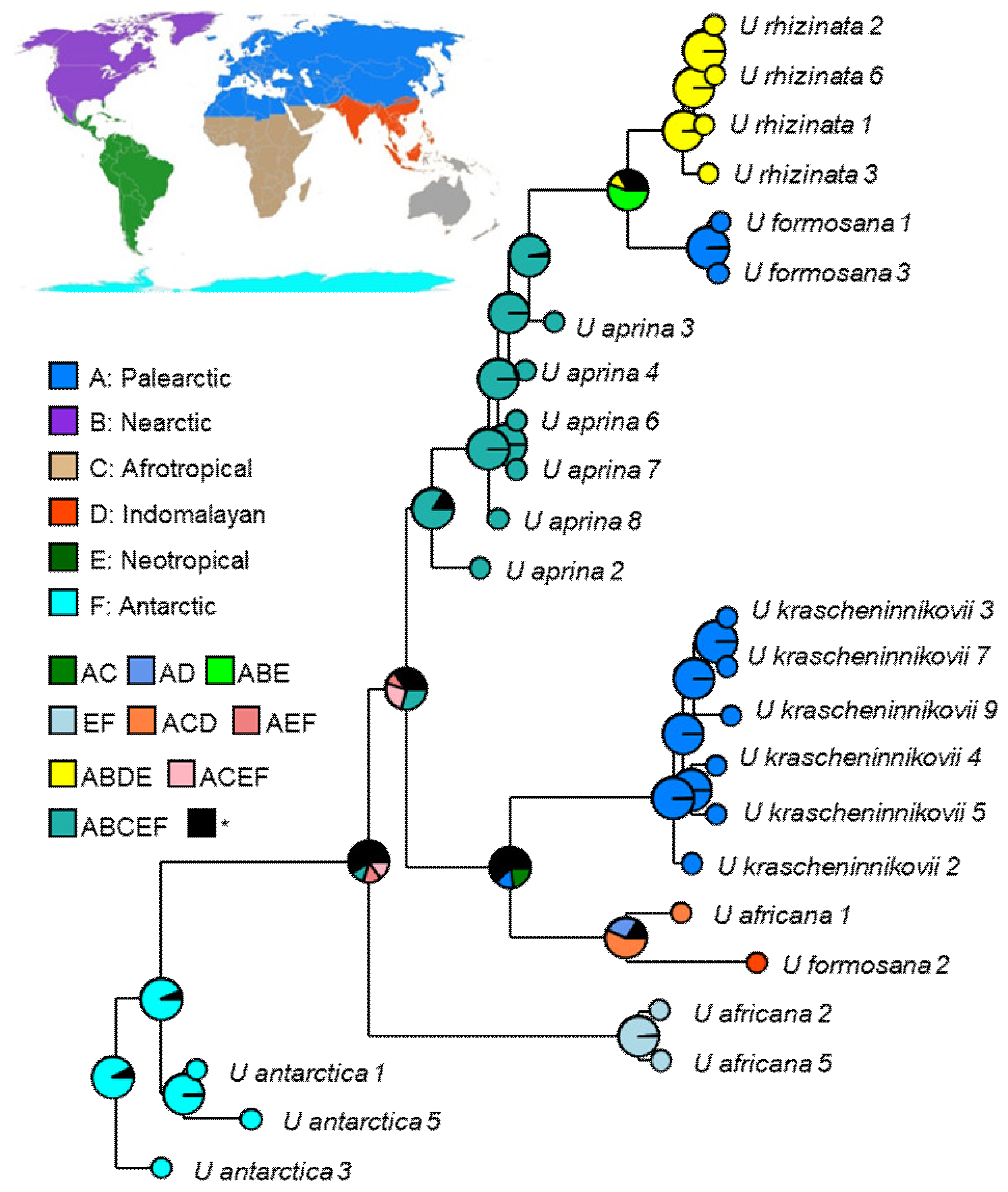 Plants 13 00729 g011