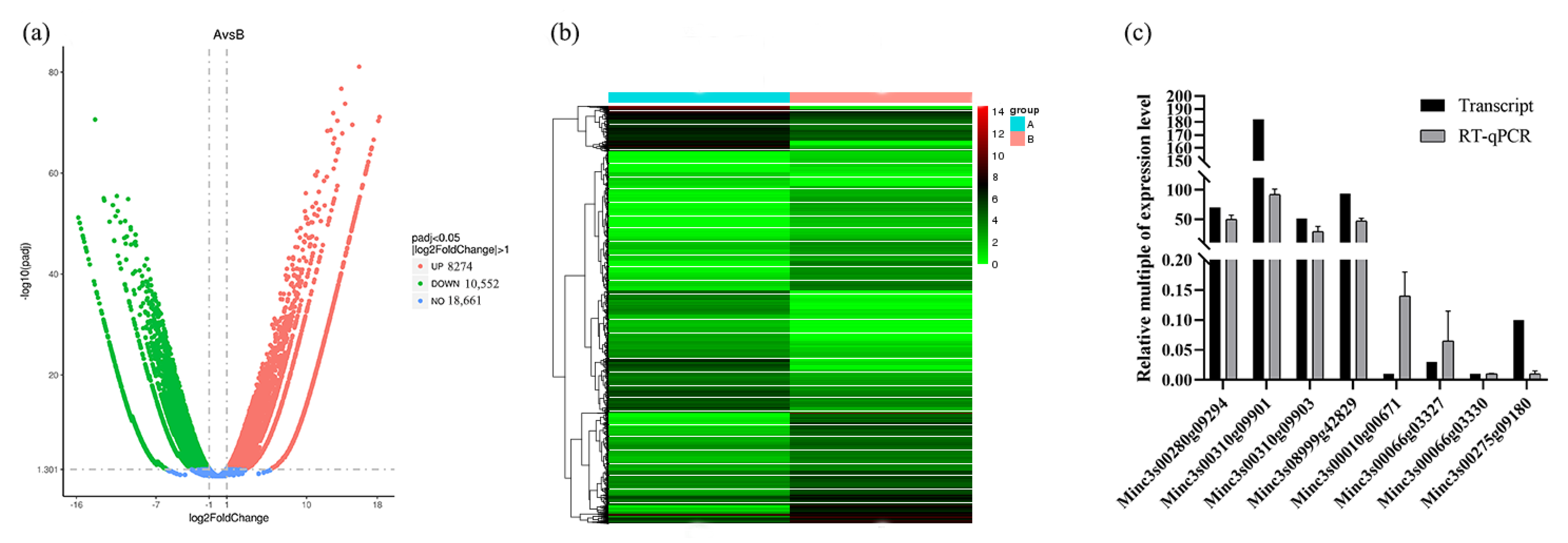 Plants 13 00730 g002