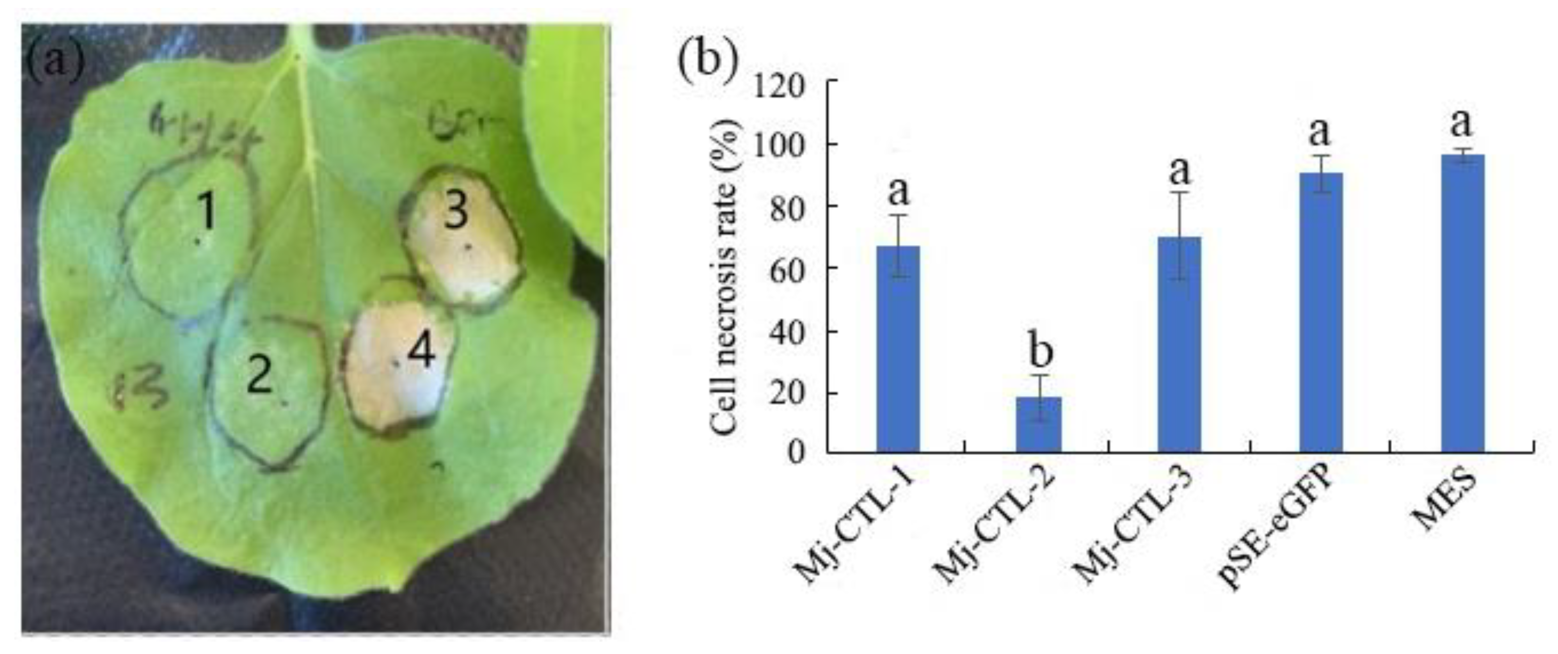 Plants 13 00730 g005