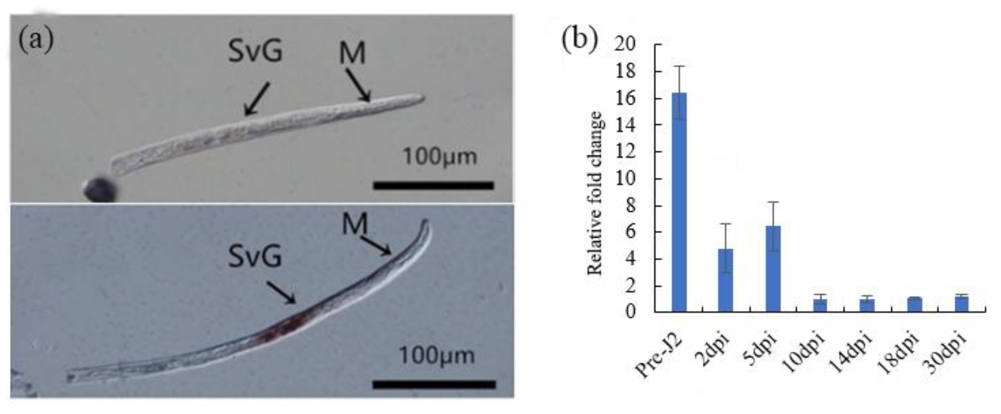Plants 13 00730 g006