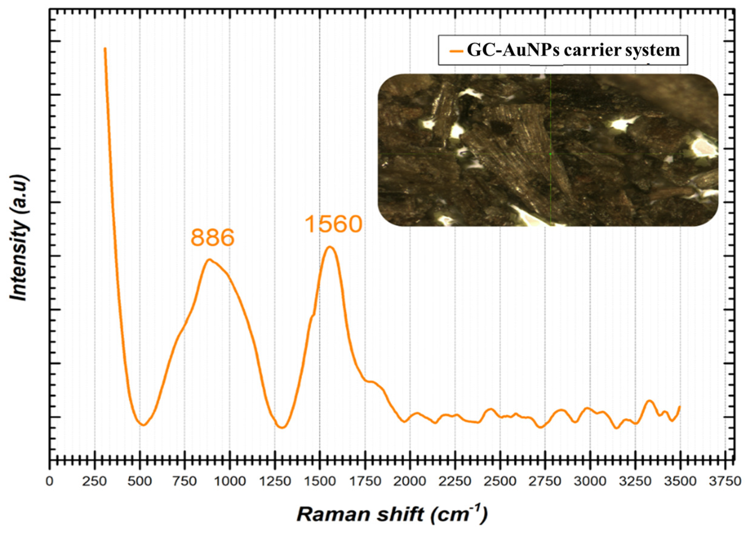 Plants 13 00734 g003