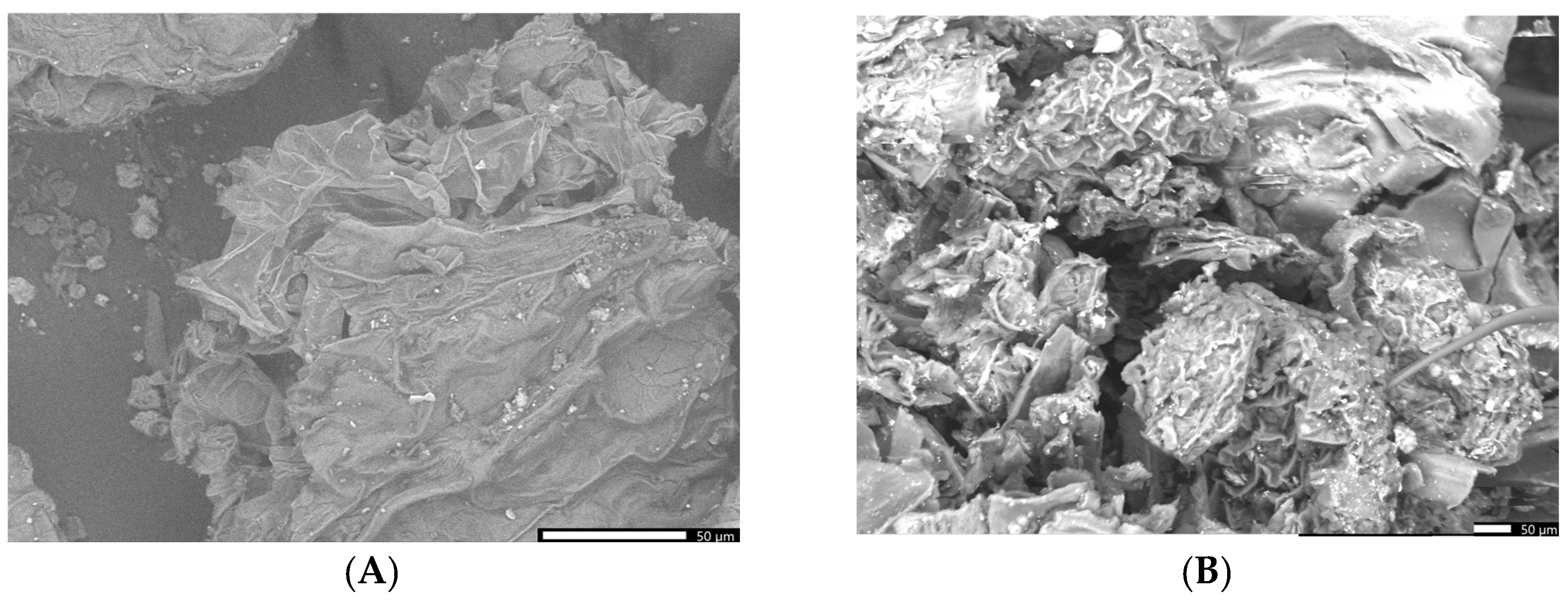 Plants 13 00734 g005a