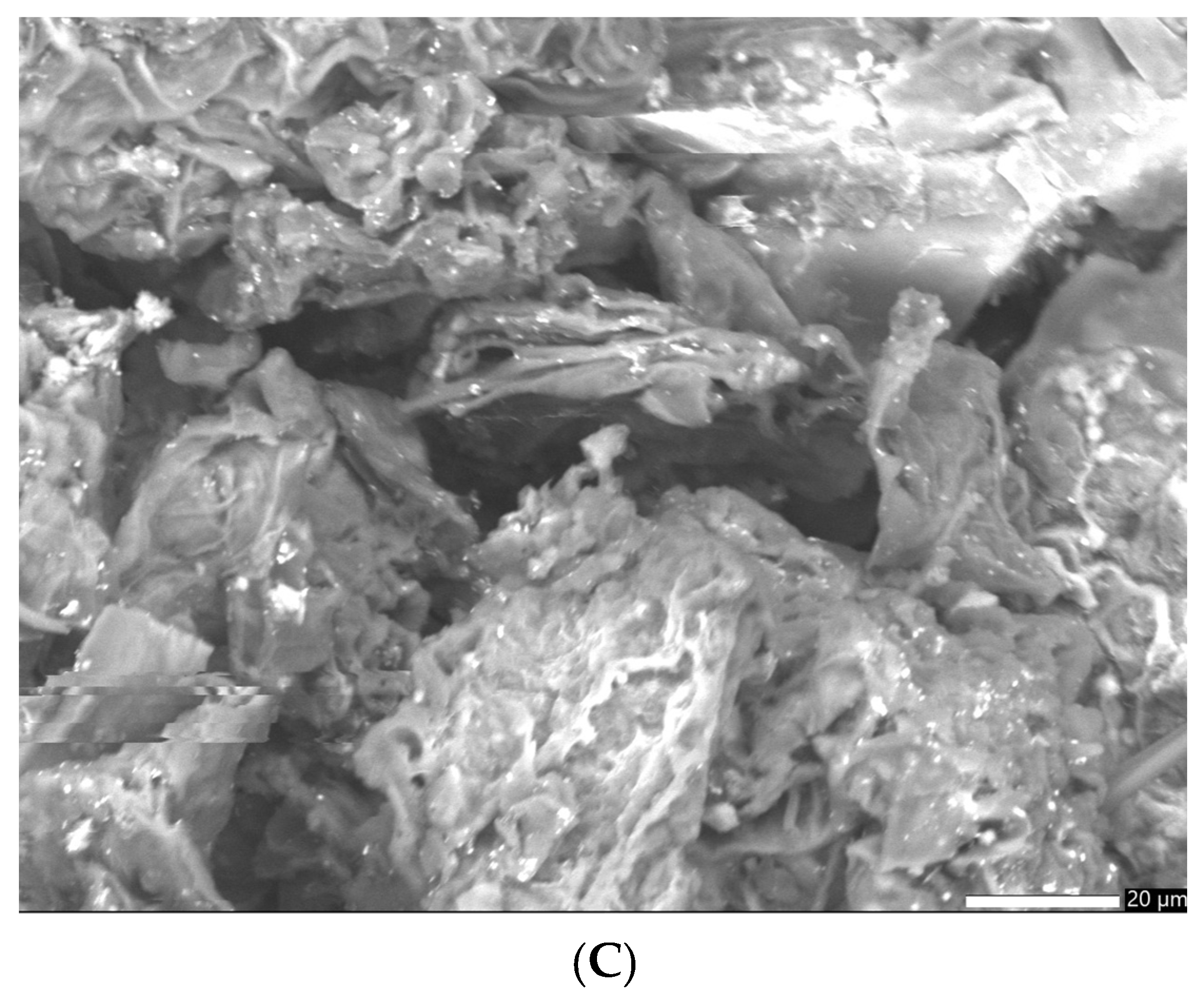 Plants 13 00734 g005b