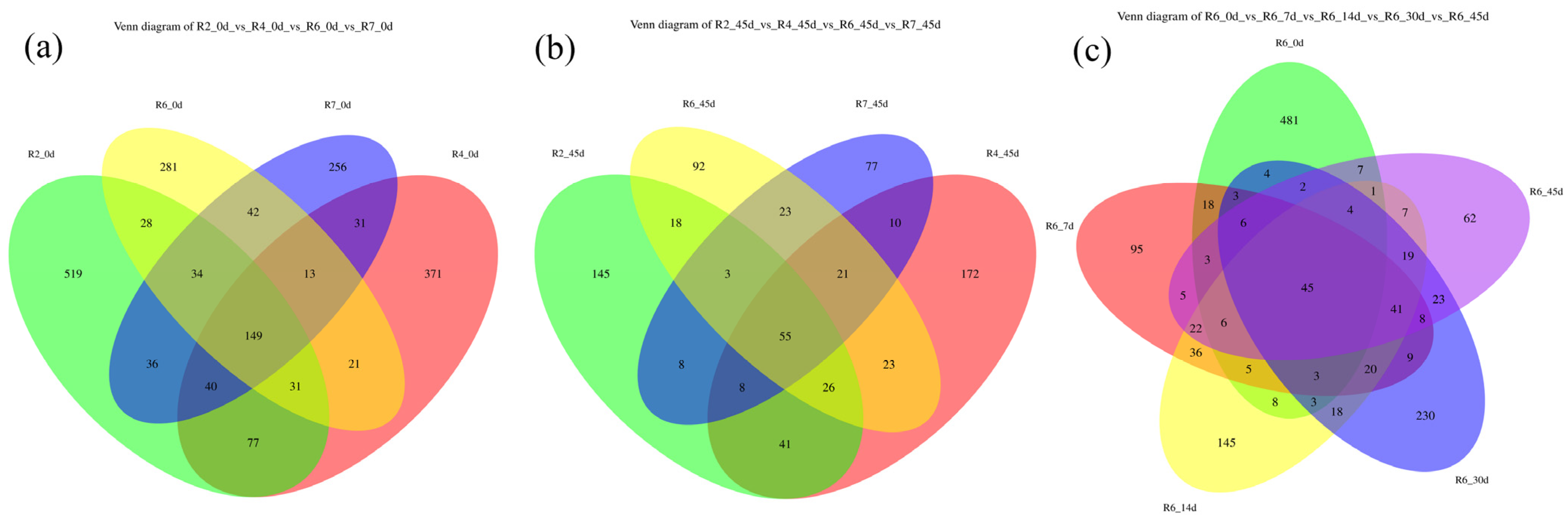 Plants 13 00739 g001