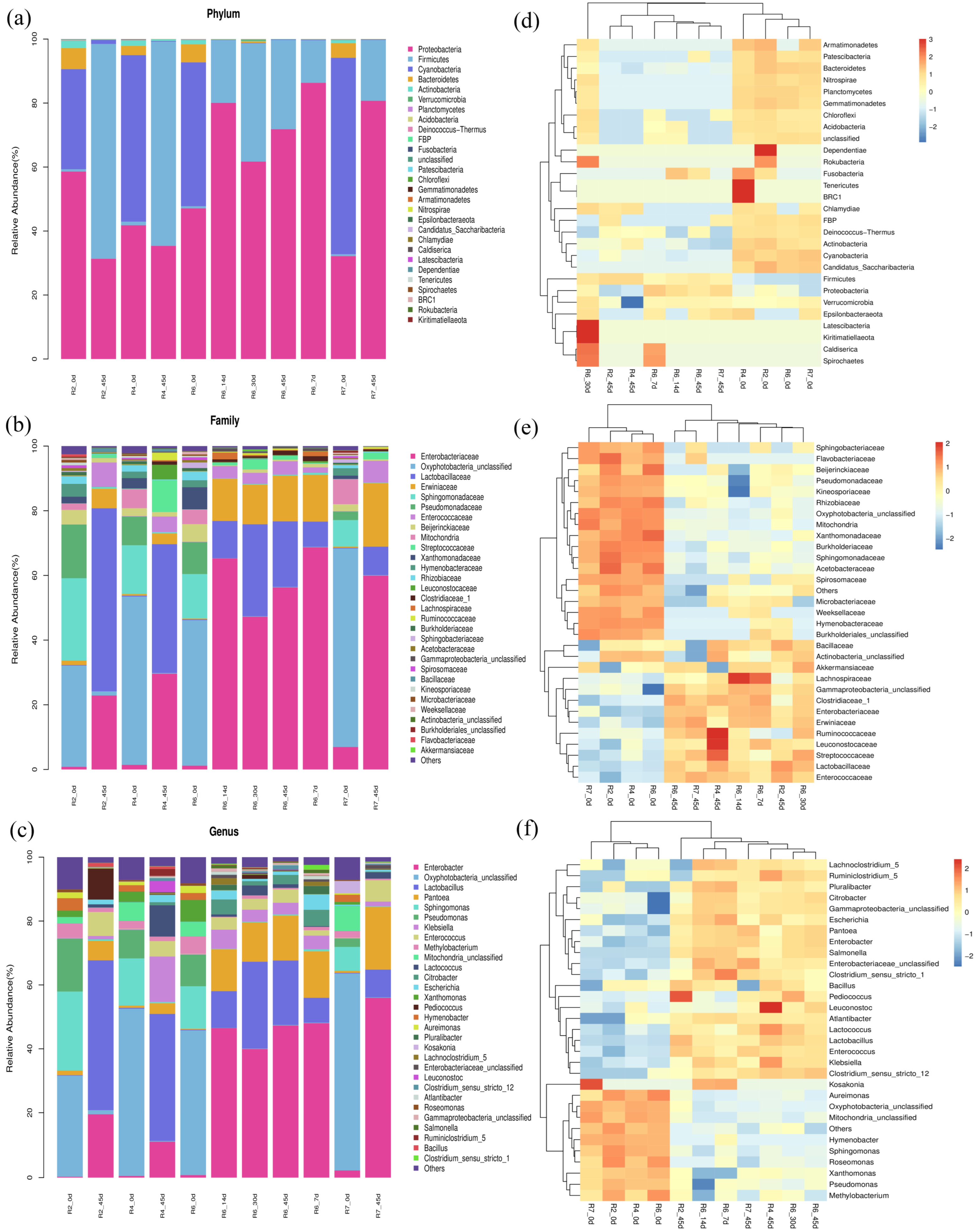 Plants 13 00739 g002