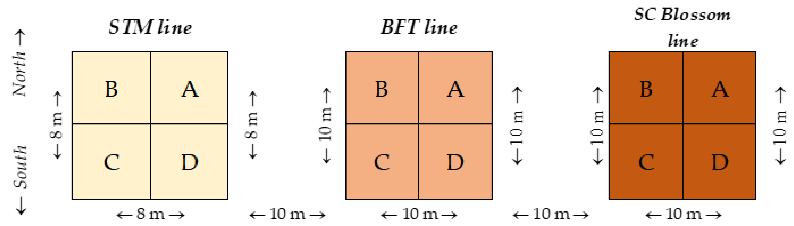 Plants 13 00740 g005