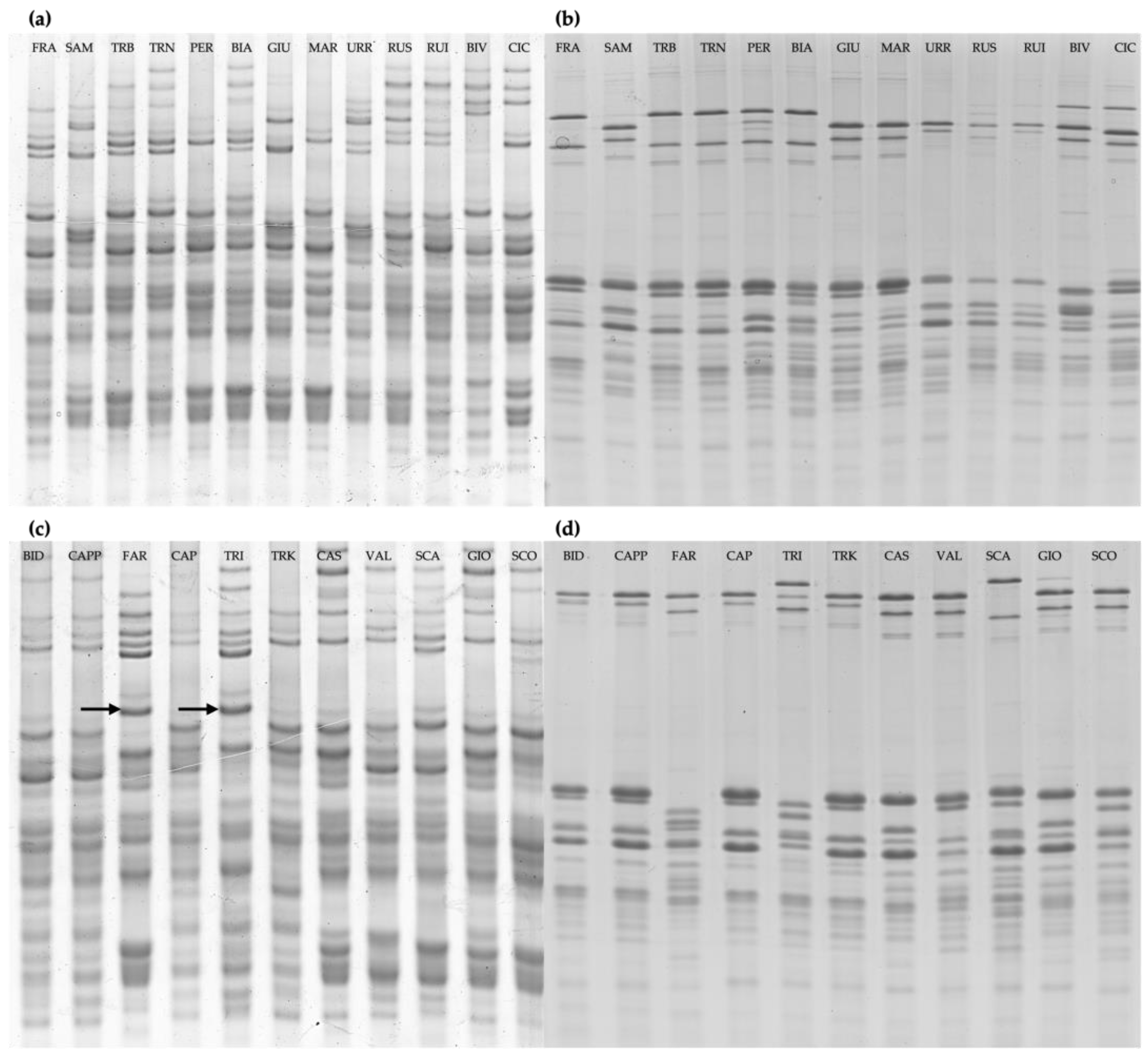 Plants 13 00741 g001