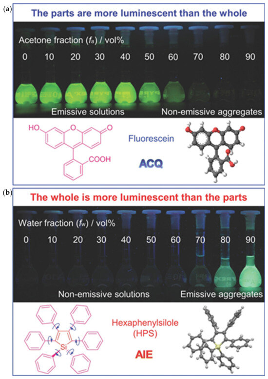 Plants 13 00743 g002