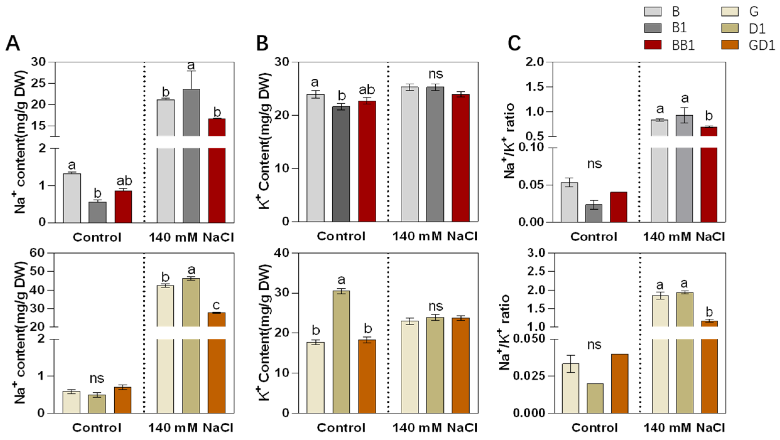 Plants 13 00744 g002