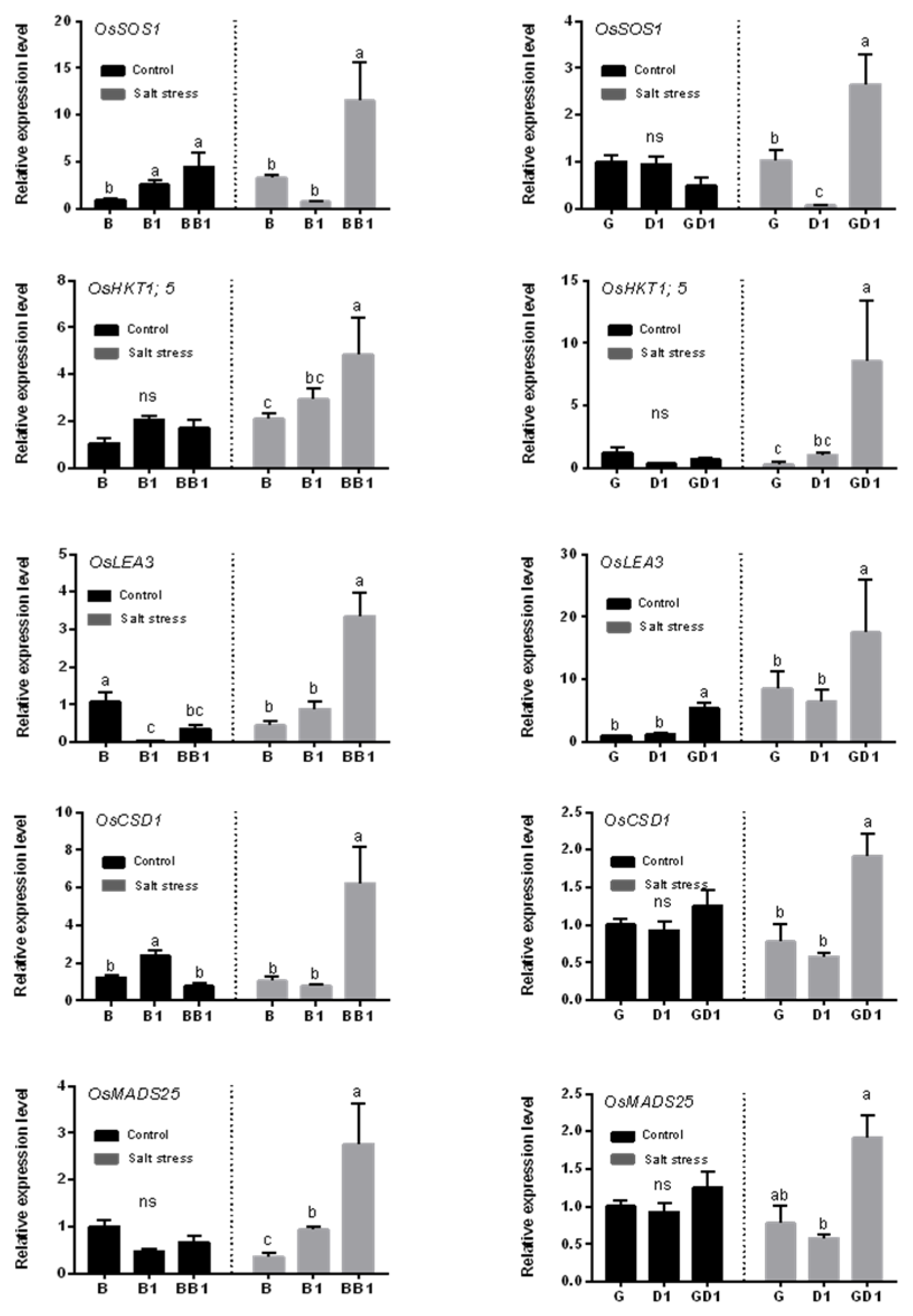 Plants 13 00744 g004