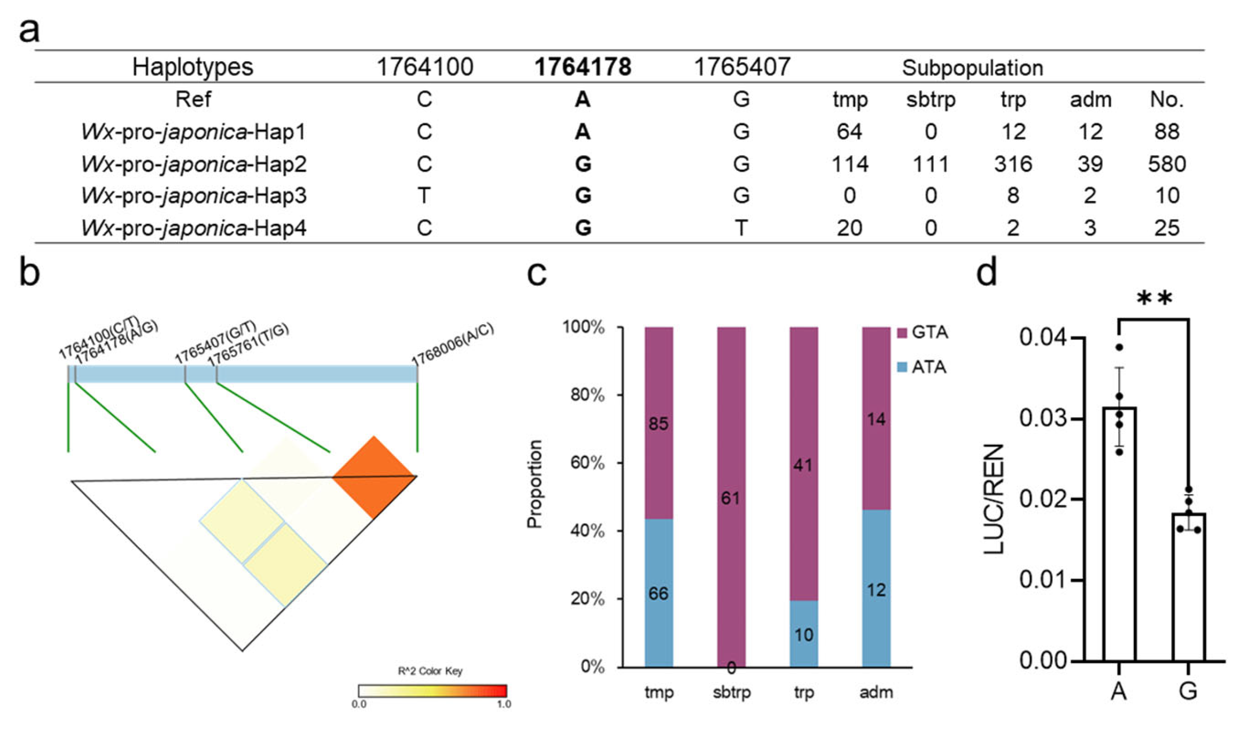 Plants 13 00745 g001