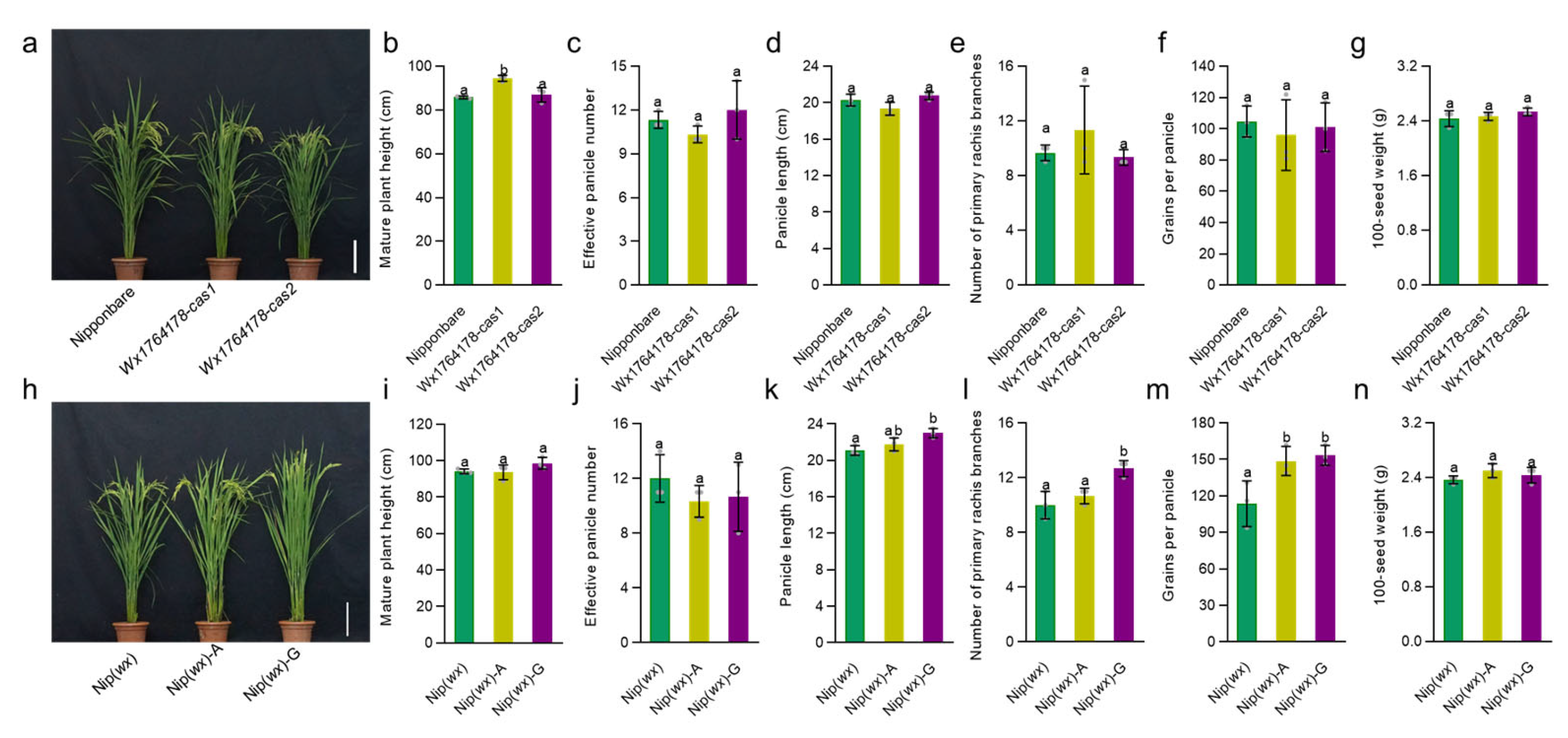 Plants 13 00745 g003