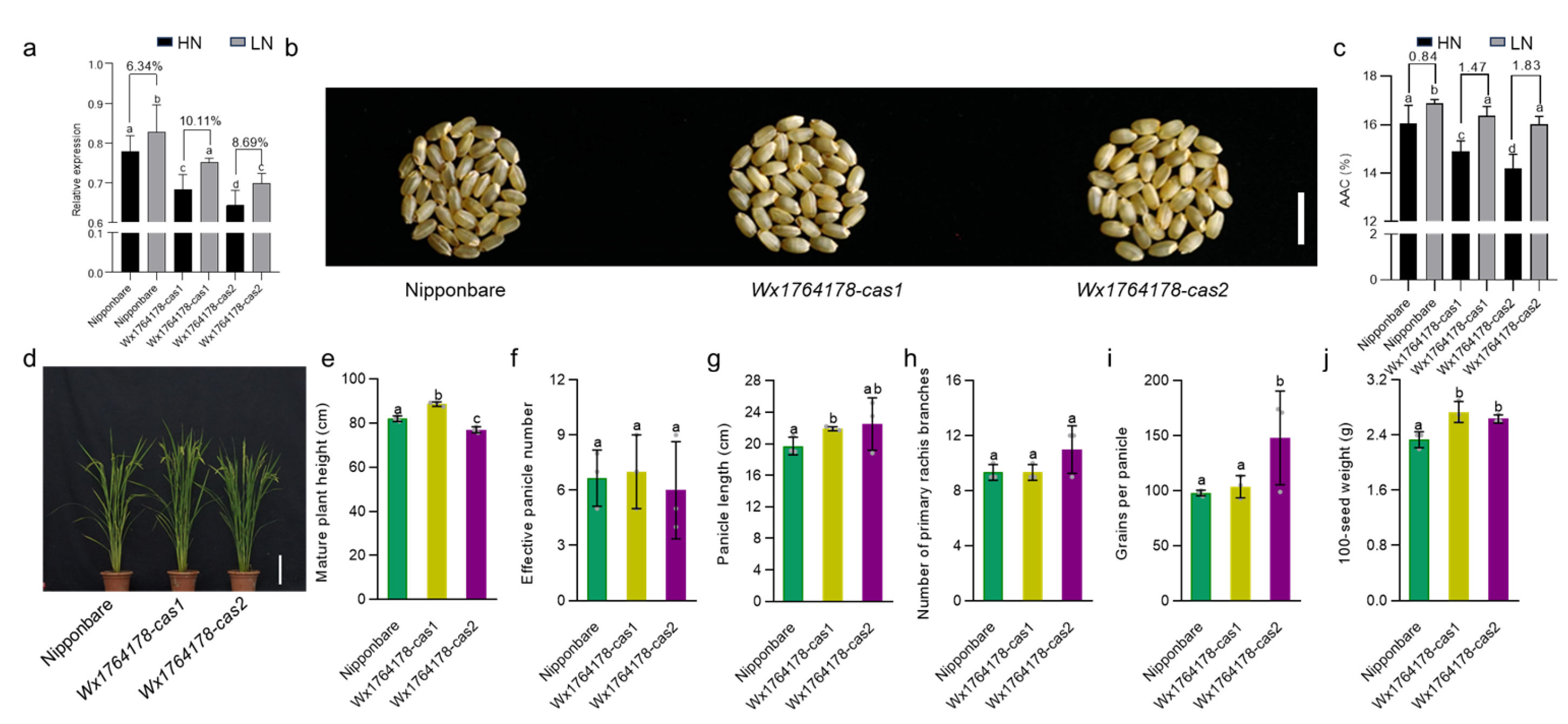 Plants 13 00745 g004