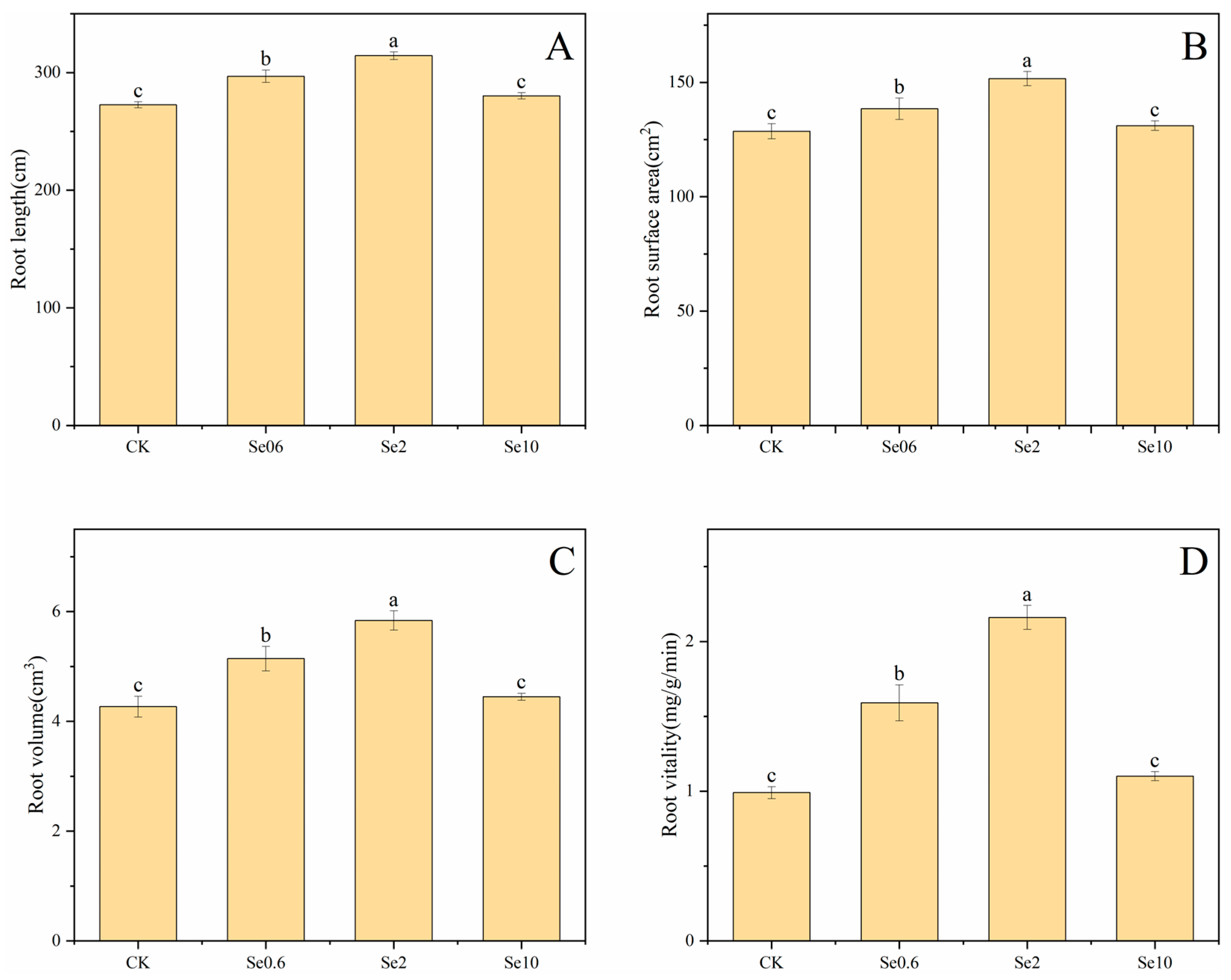 Plants 13 00749 g001