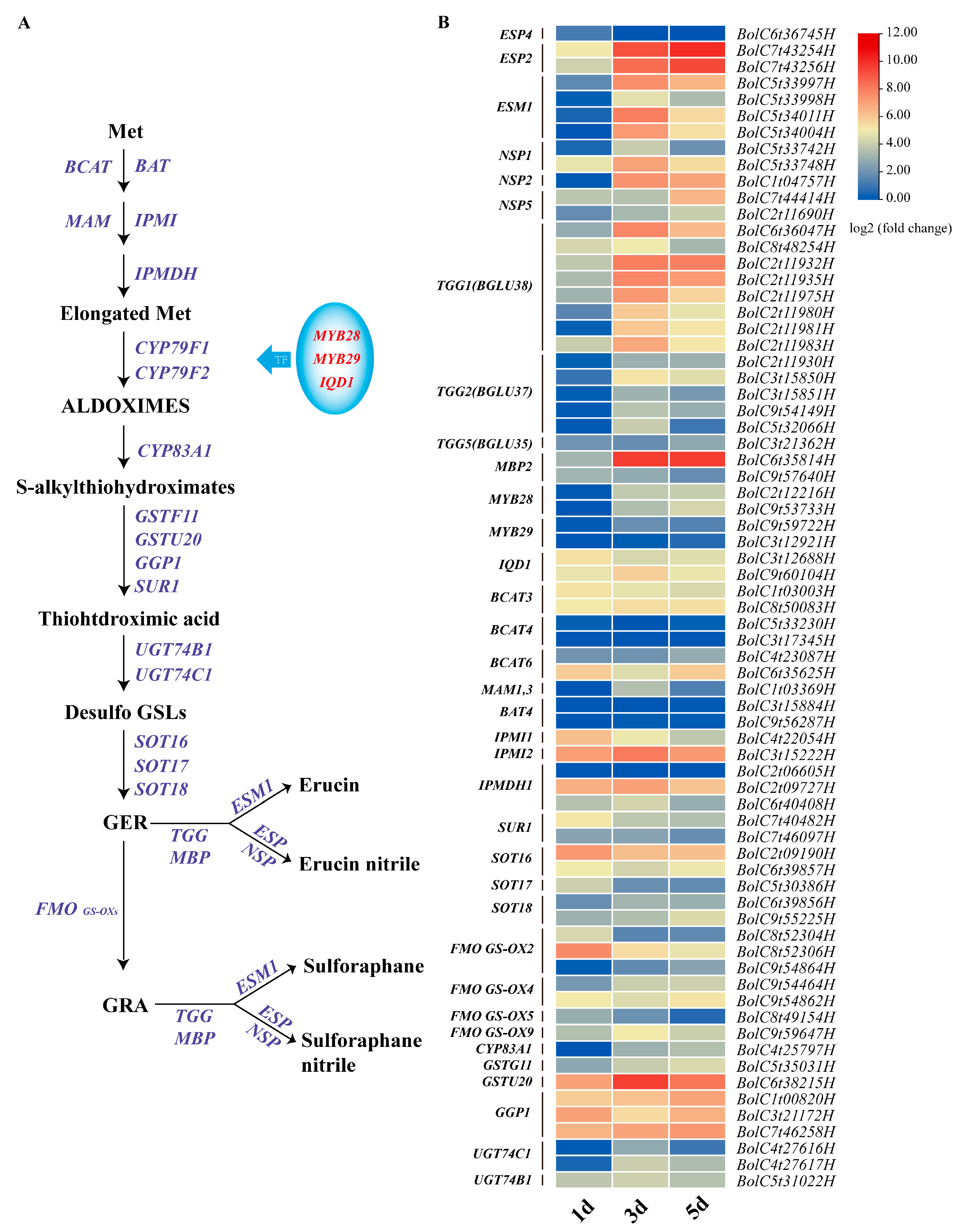 Plants 13 00750 g003
