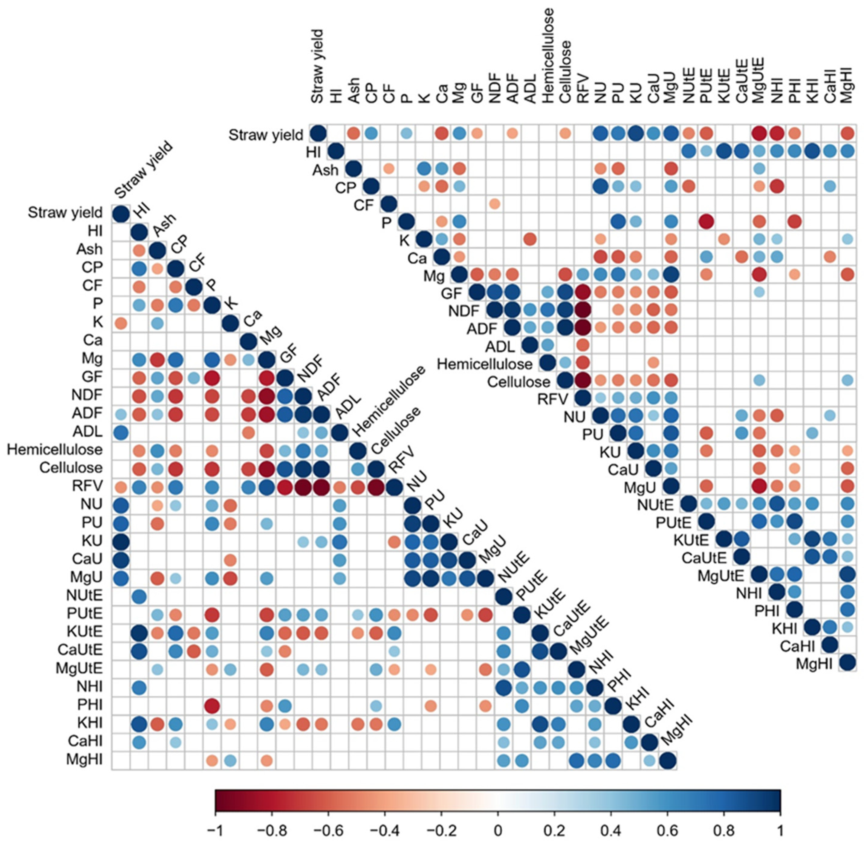 Plants 13 00751 g001