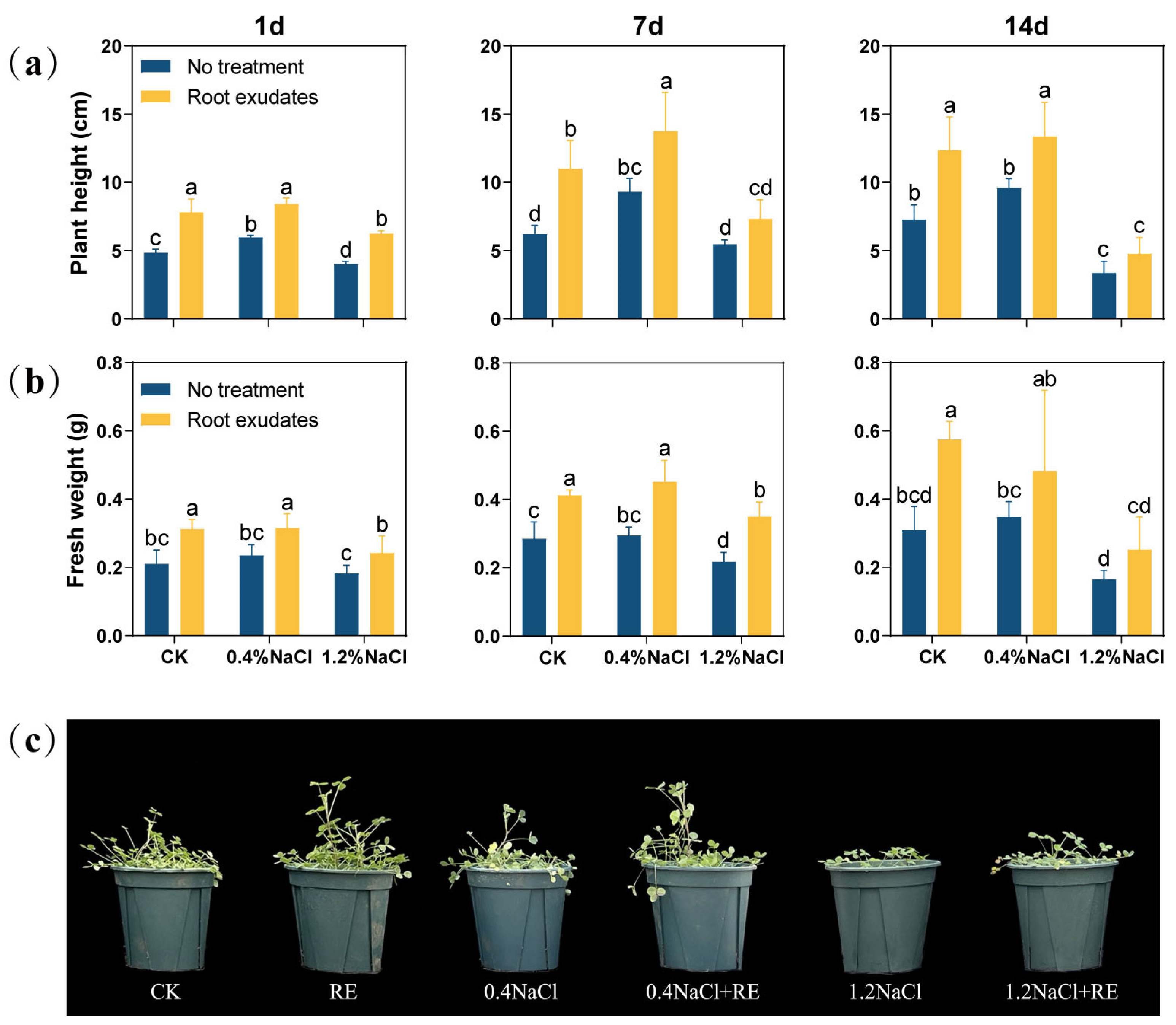 Plants 13 00752 g001