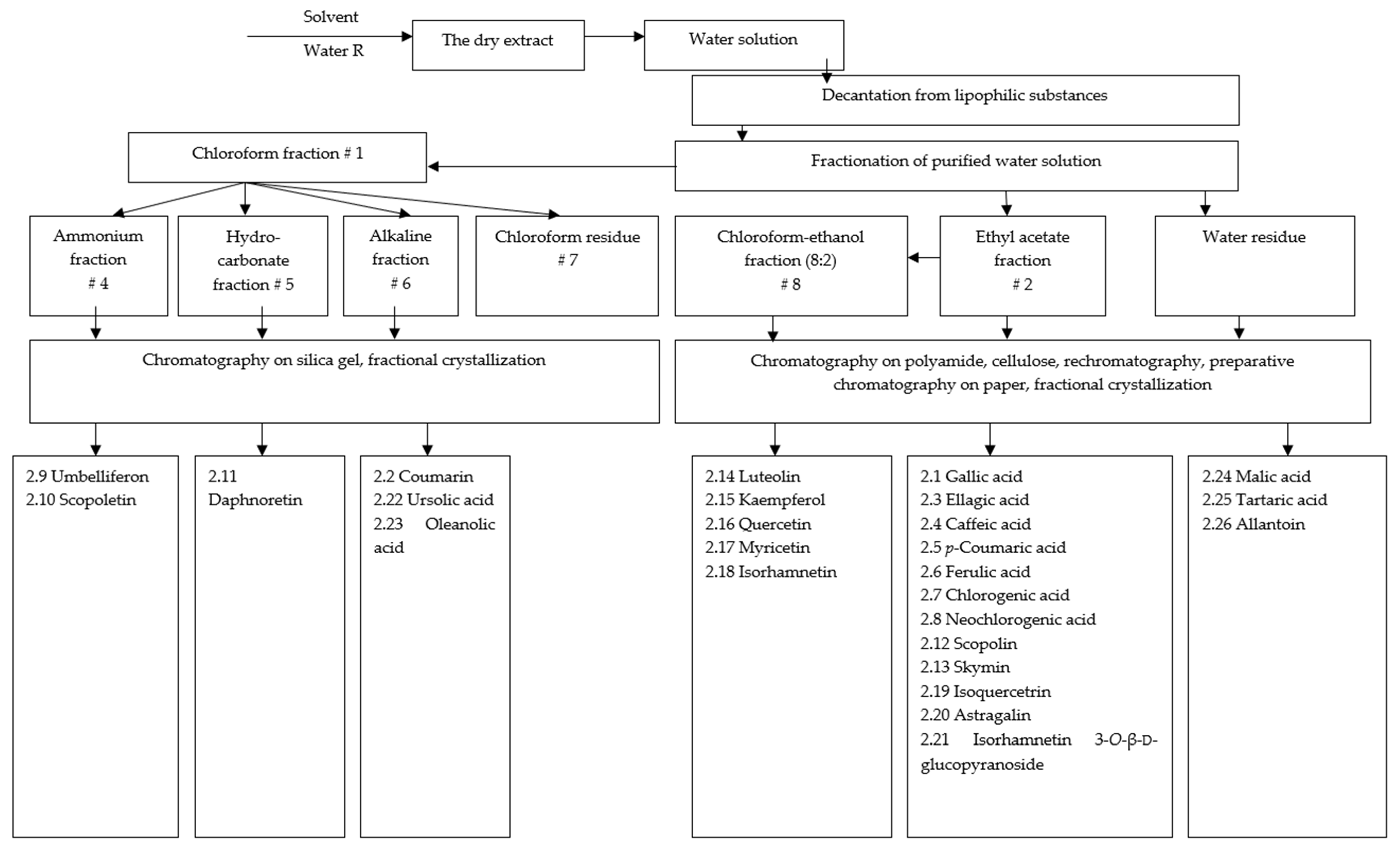 Plants 13 00754 g001