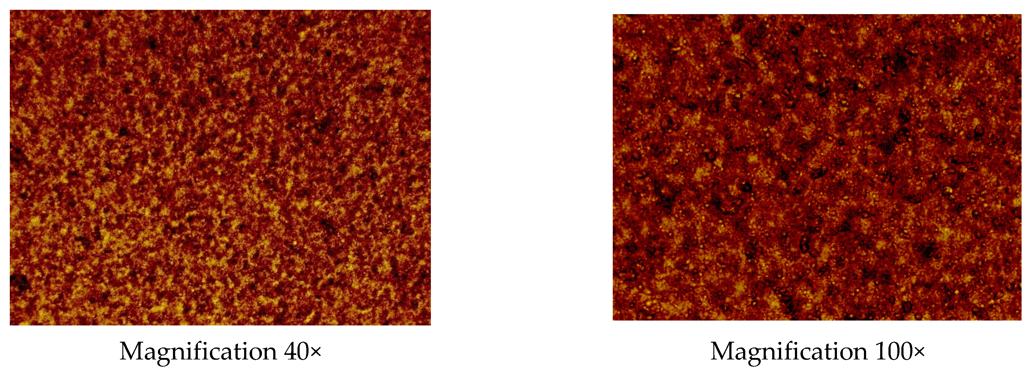 Plants 13 00754 g002a