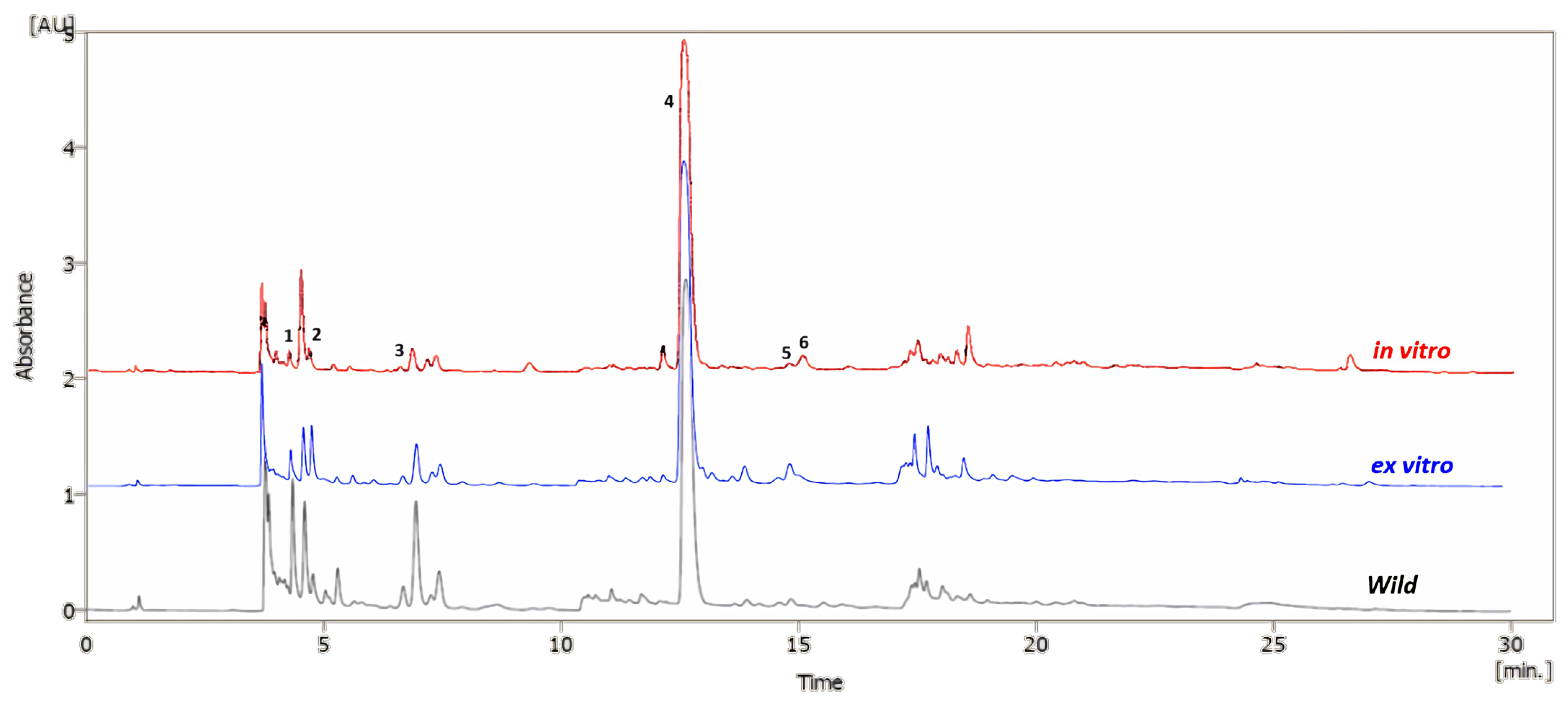 Plants 13 00755 g003