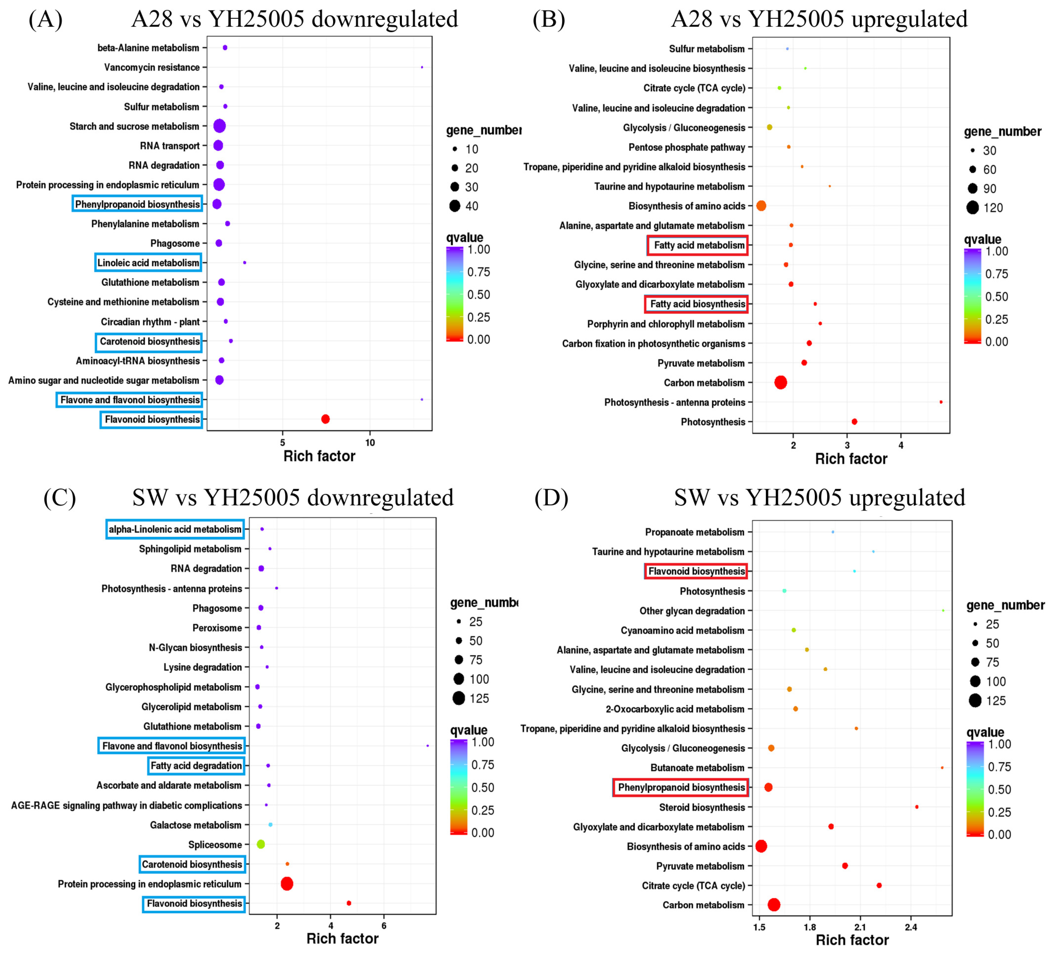 Plants 13 00760 g002
