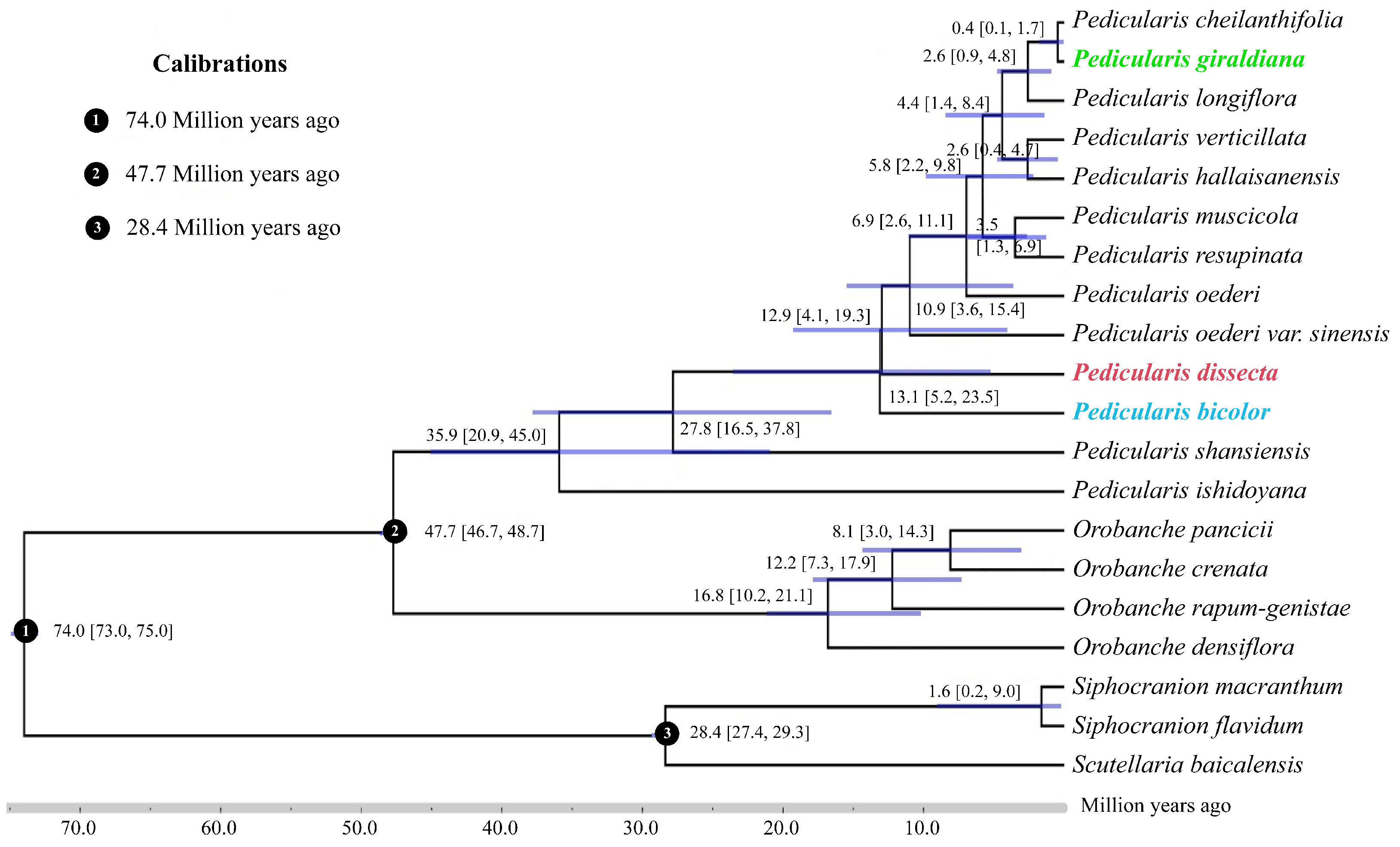 Plants 13 00765 g002