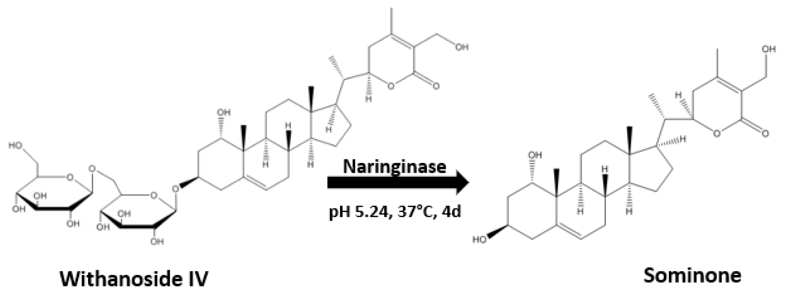 Plants 13 00771 g002