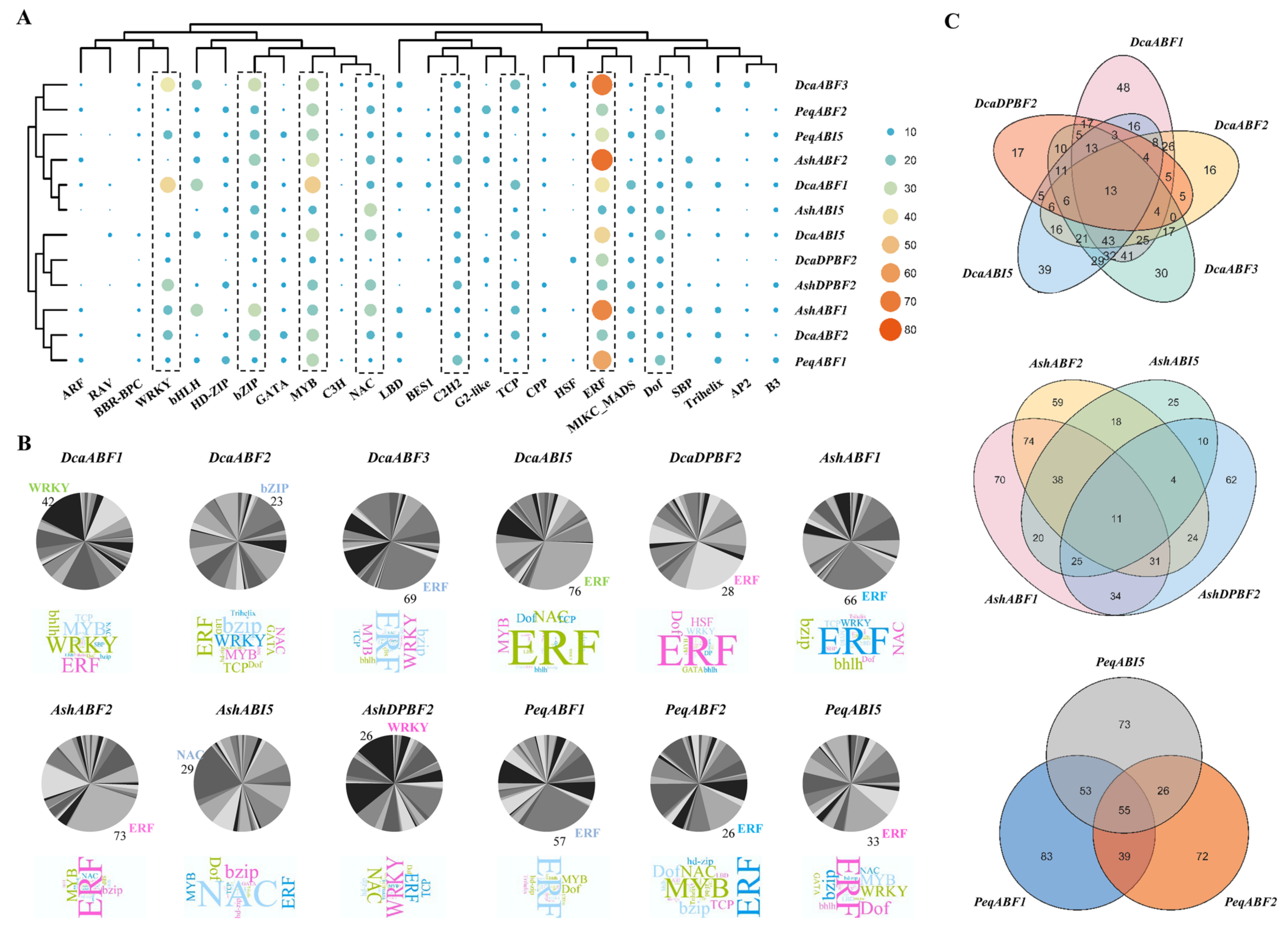 Plants 13 00774 g005